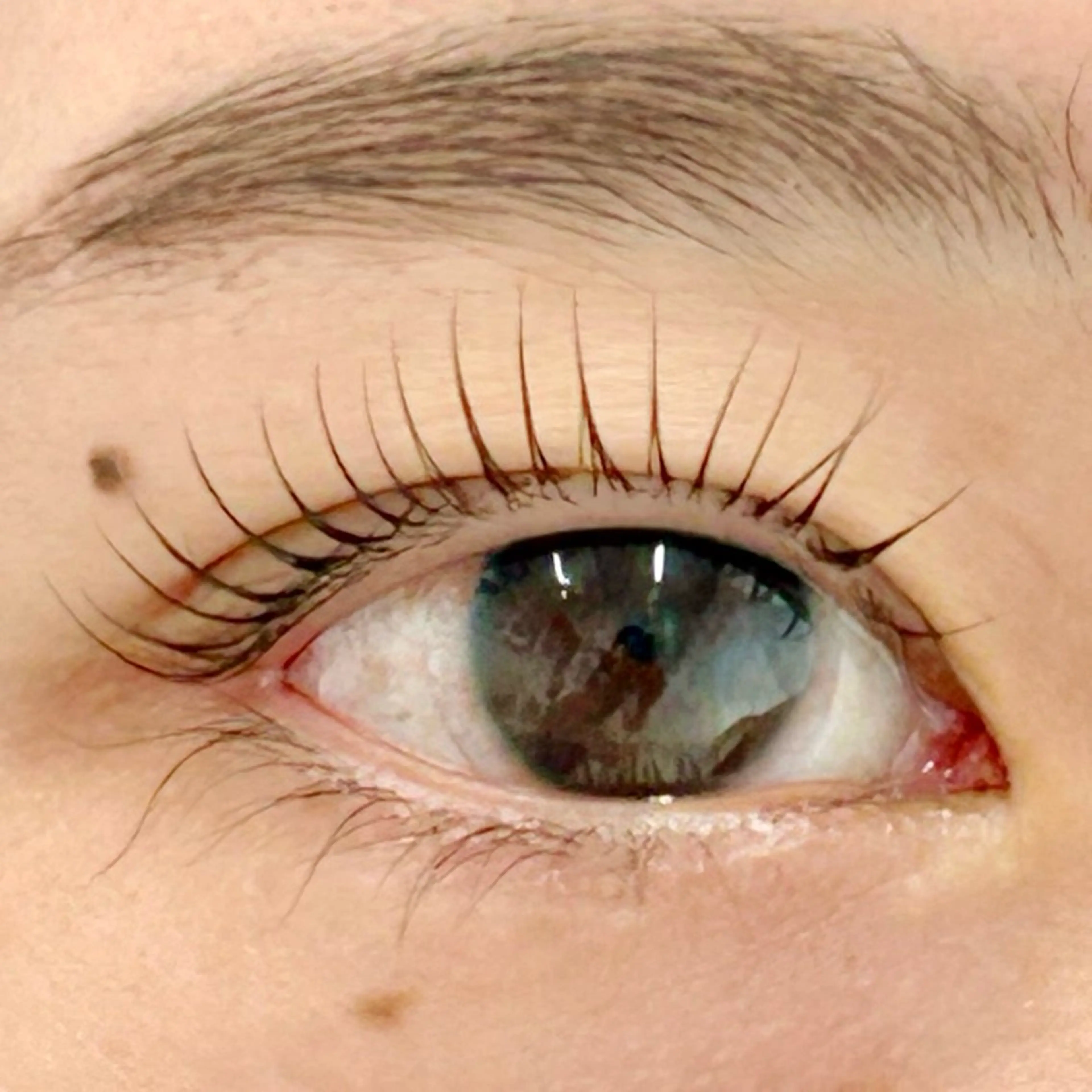 マツエク・マツパ 一重×まつ毛パーマ BellFlower Aki（眉・まつげ）のマツエク・マツパデザイン