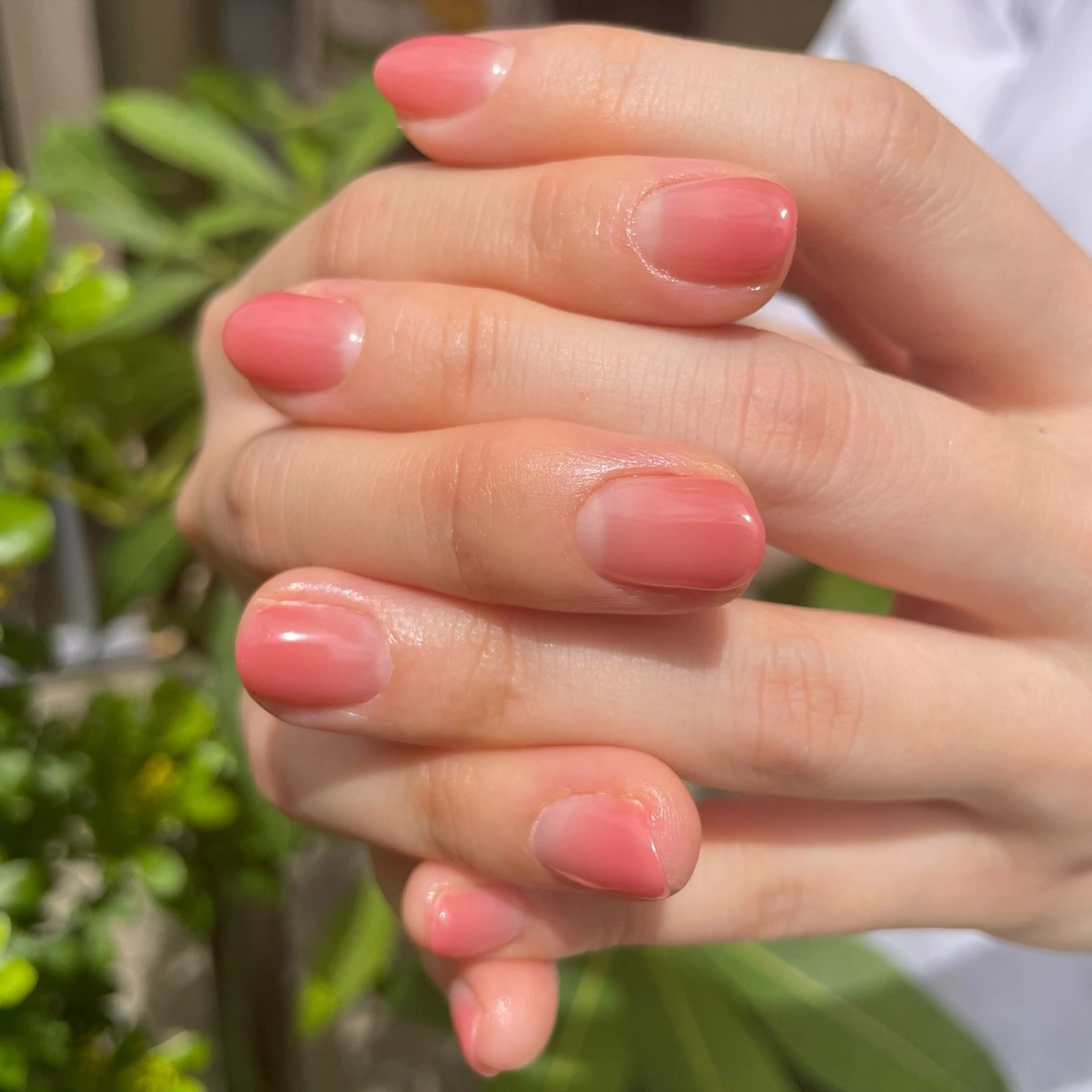 カラーグラデーション【ベース:クリア】👩🏼‍🎨オフ無しの写真