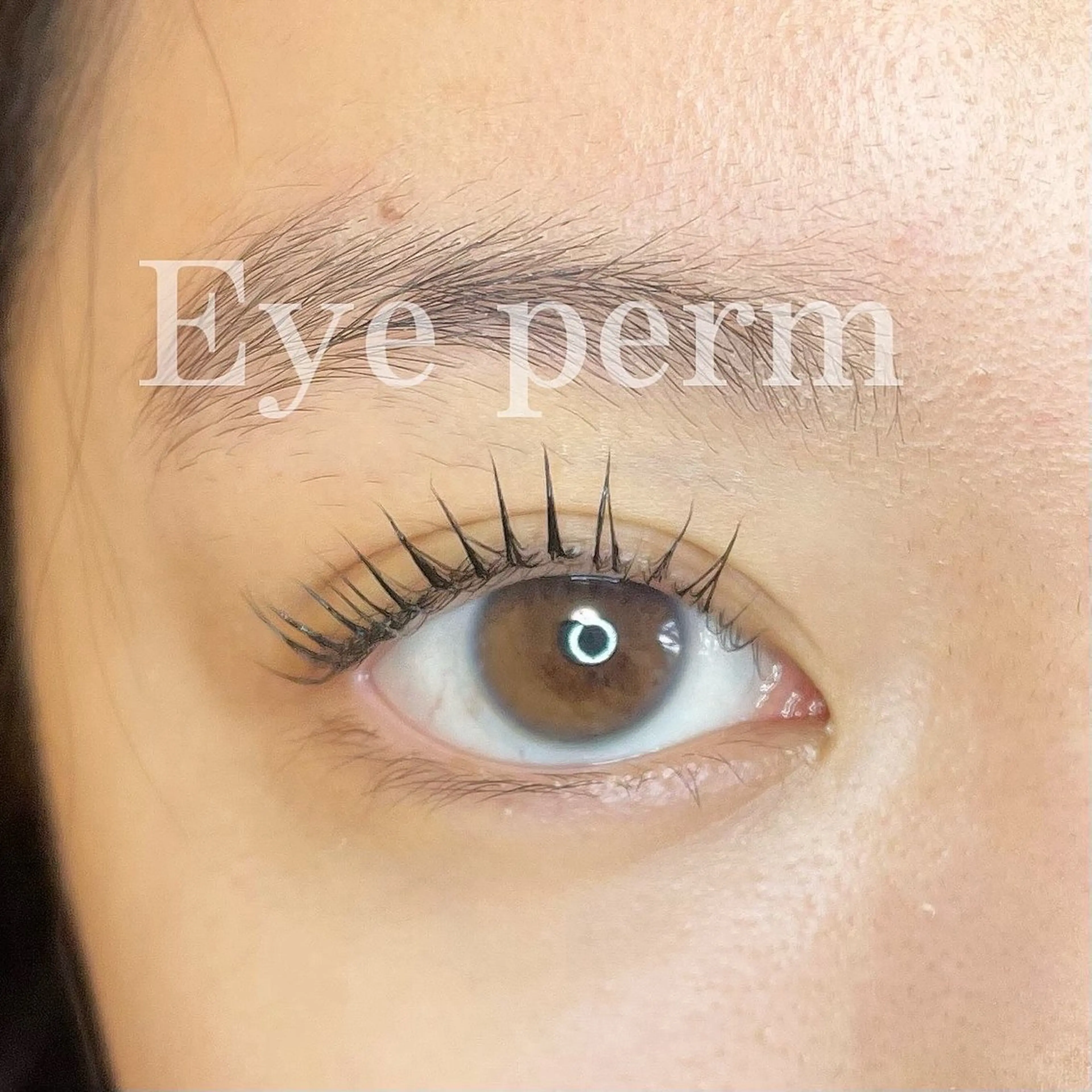 まつ毛パーマ＆まつげ全体トリートメント3種類ᝰの写真