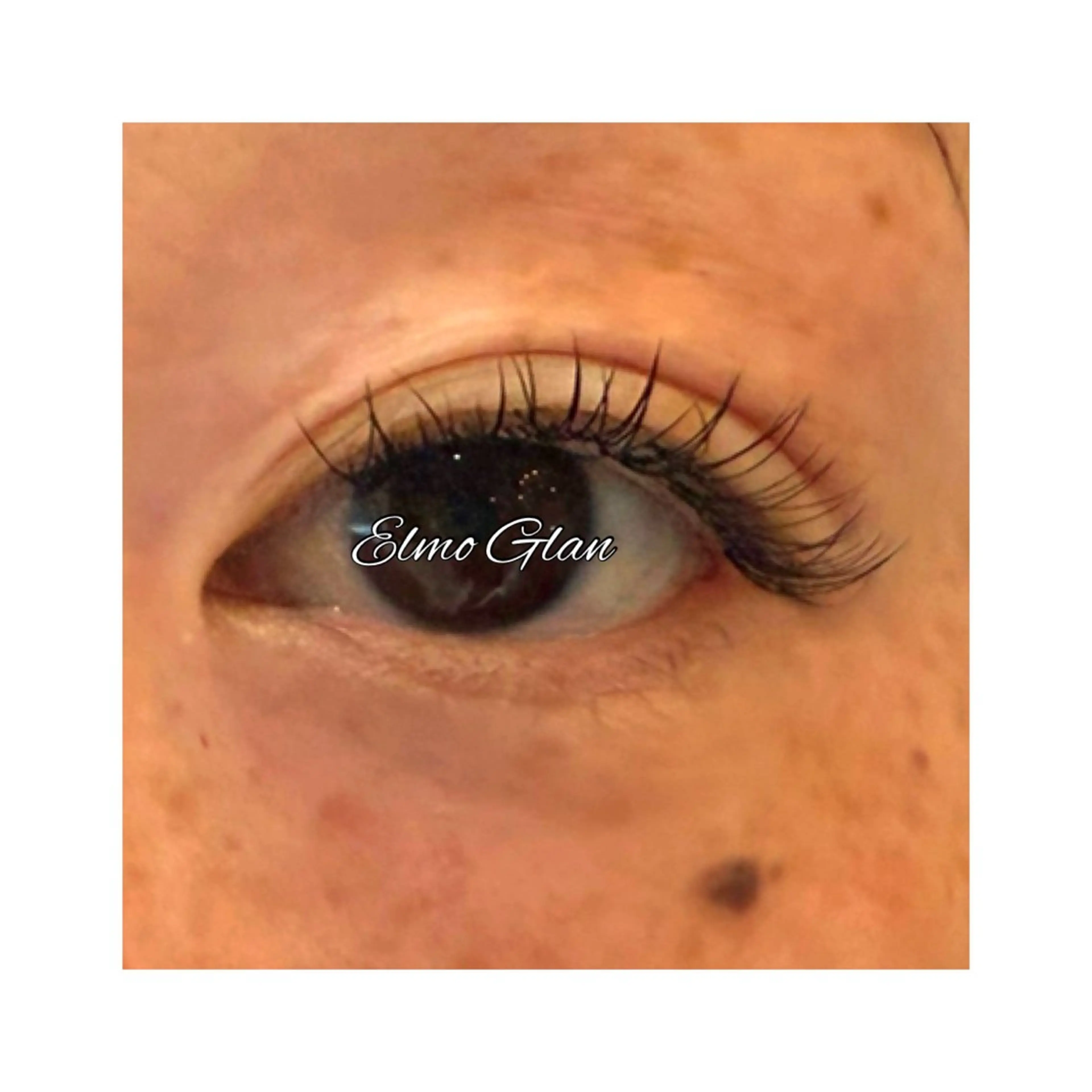 マツエク・マツパ フラットラッシュ マツエク Elmo Glan サカモトのマツエク・マツパデザイン
