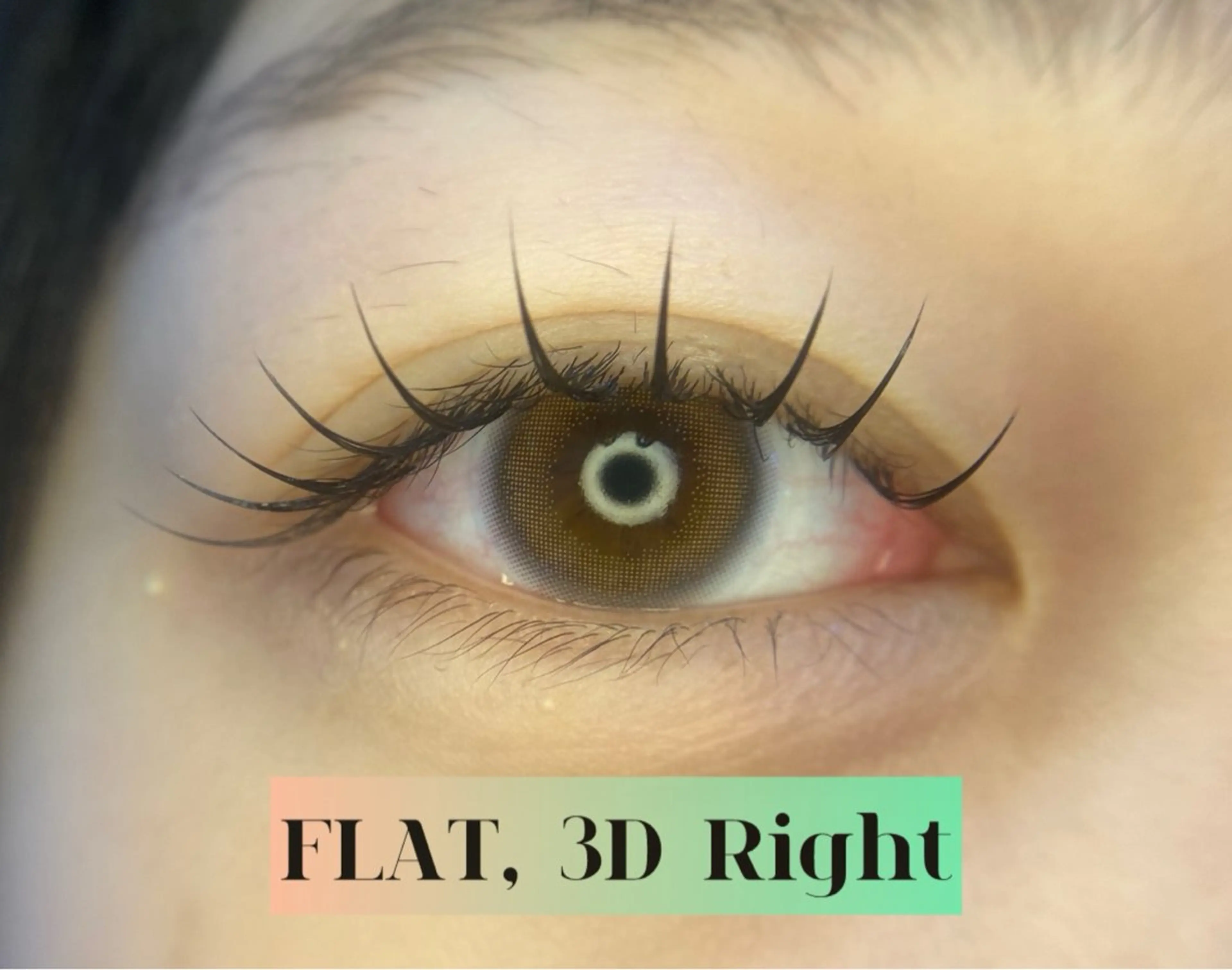 🤍3D right 120本の写真