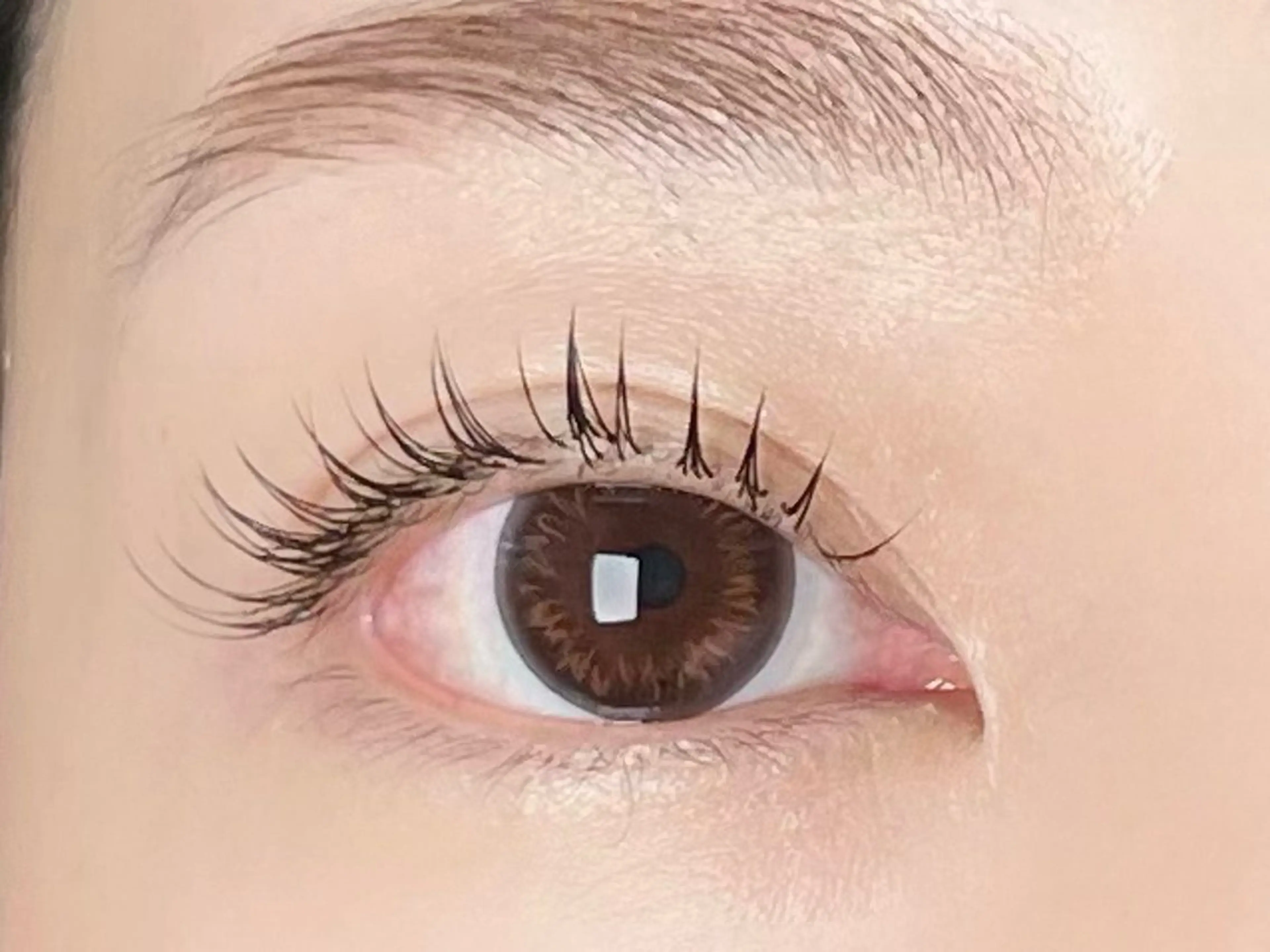 マツエク・マツパ マツエク 束感/ナチュラル/ mikuのマツエク・マツパデザイン