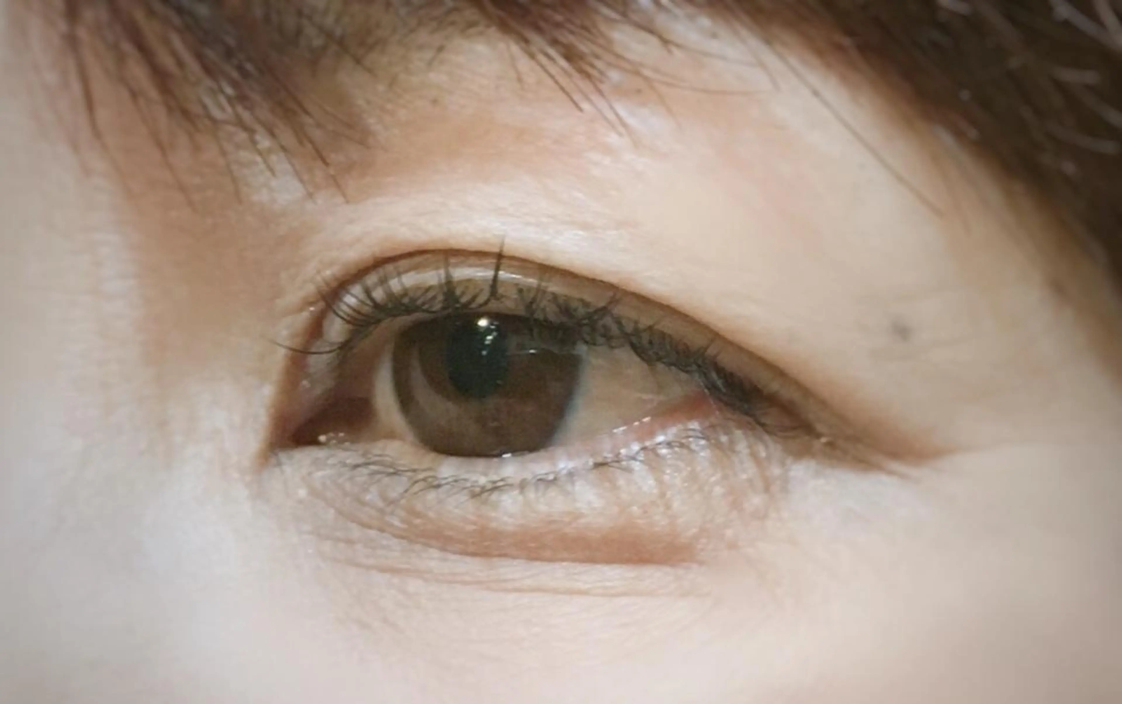 マツエク・マツパ 眉毛まつ毛専門店 uralogeのマツエク・マツパデザイン