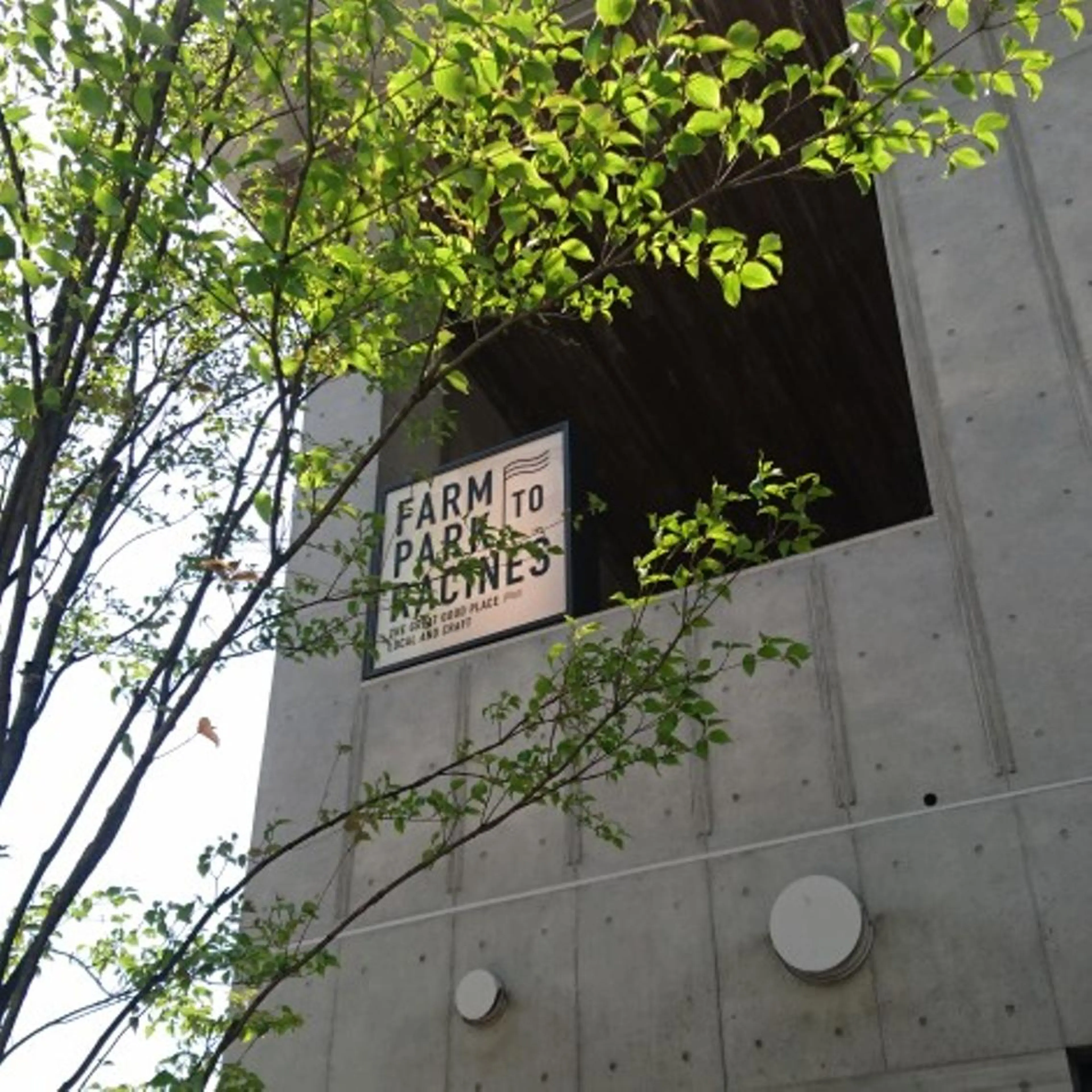 🌟艶髪カラー 🌟サイトウのヘアスタイル