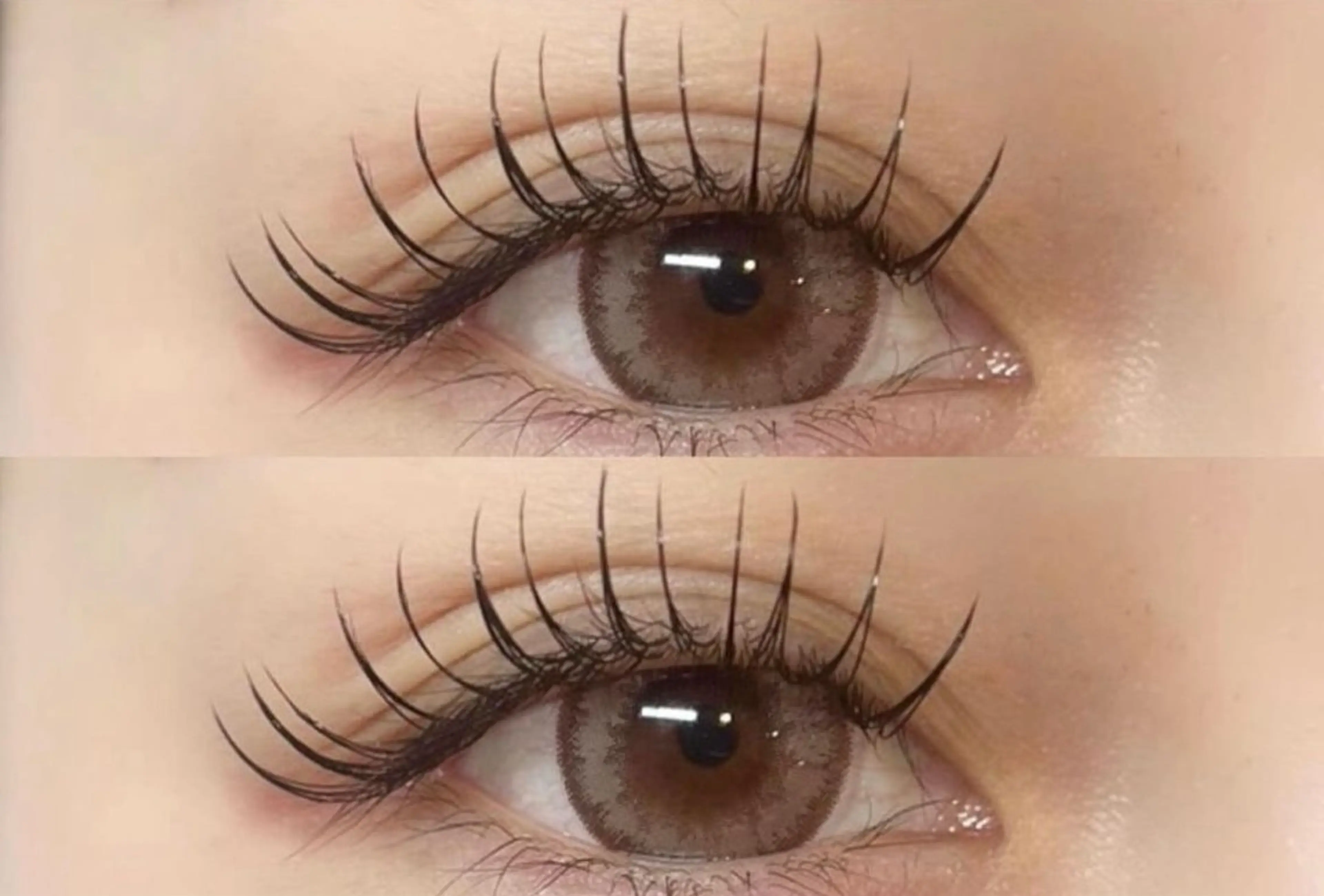 フラットラッシュ100本まで🌼の写真