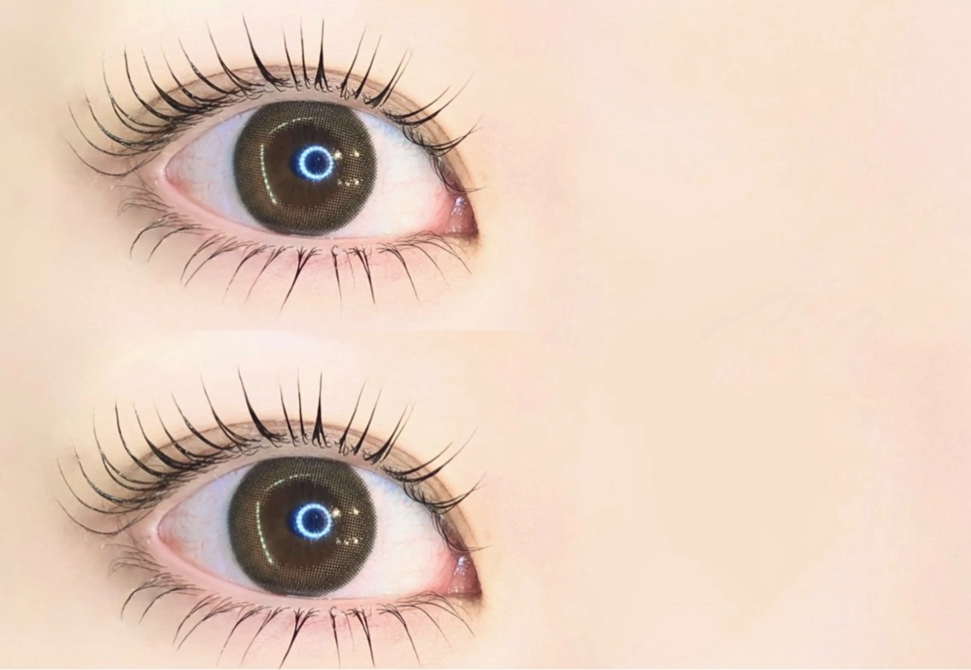 🌱ご新規様限定🌱オーダーメイドまつ毛パーマ,ラッシュリフト,パリジェンヌ（上下）の写真