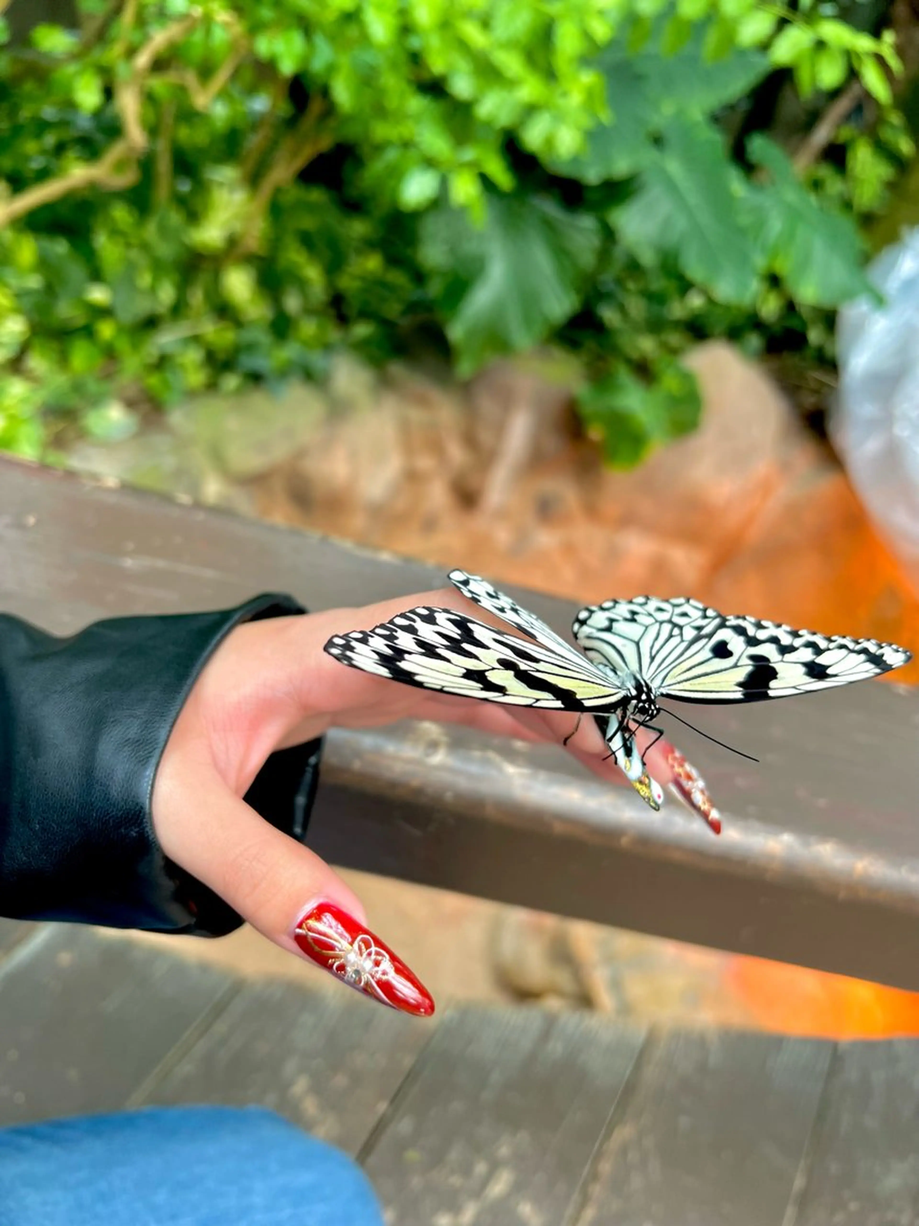 ネイル nail salon Defiのネイルデザイン