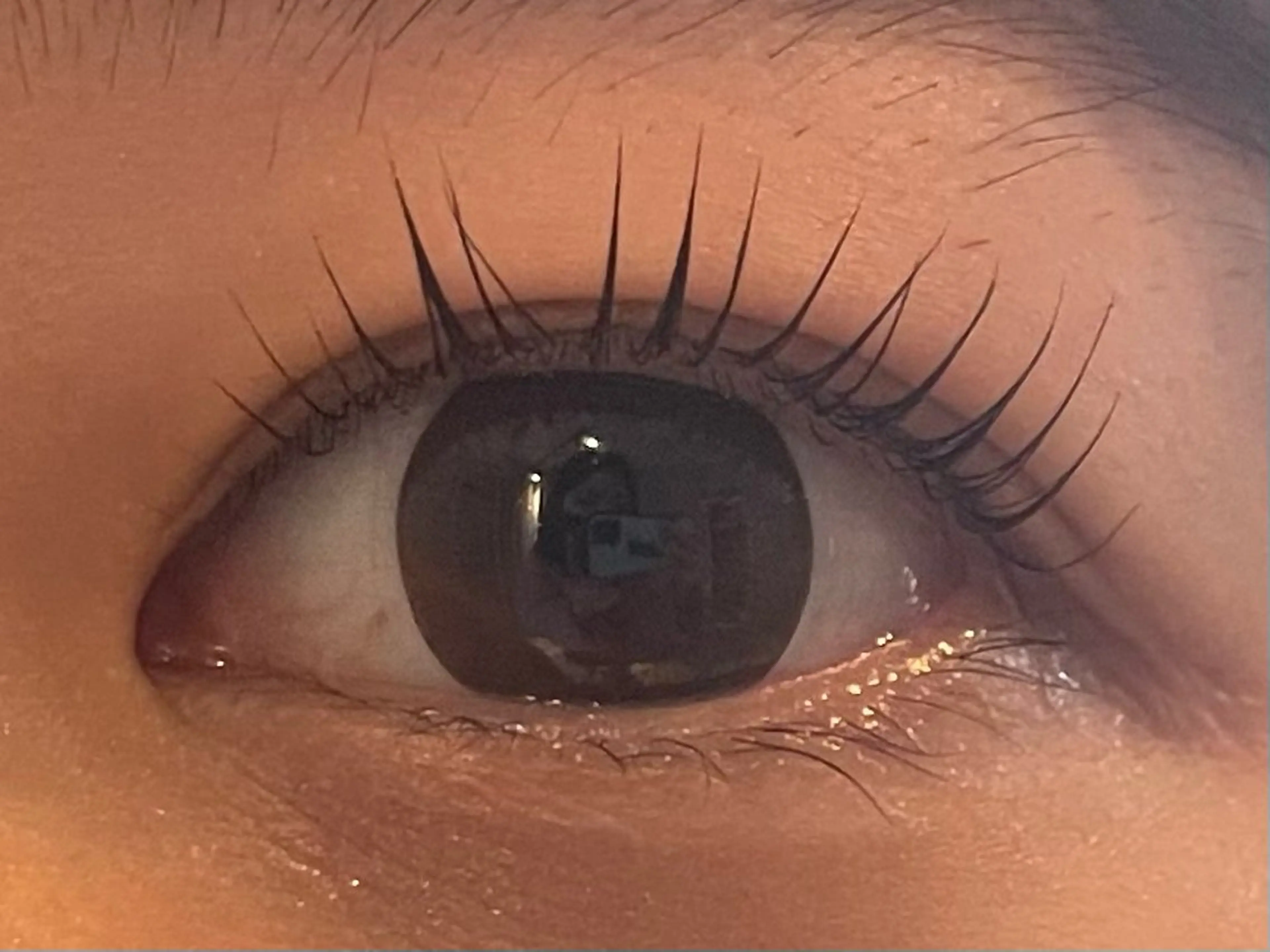 マツエク・マツパ Sol フジイのマツエク・マツパデザイン