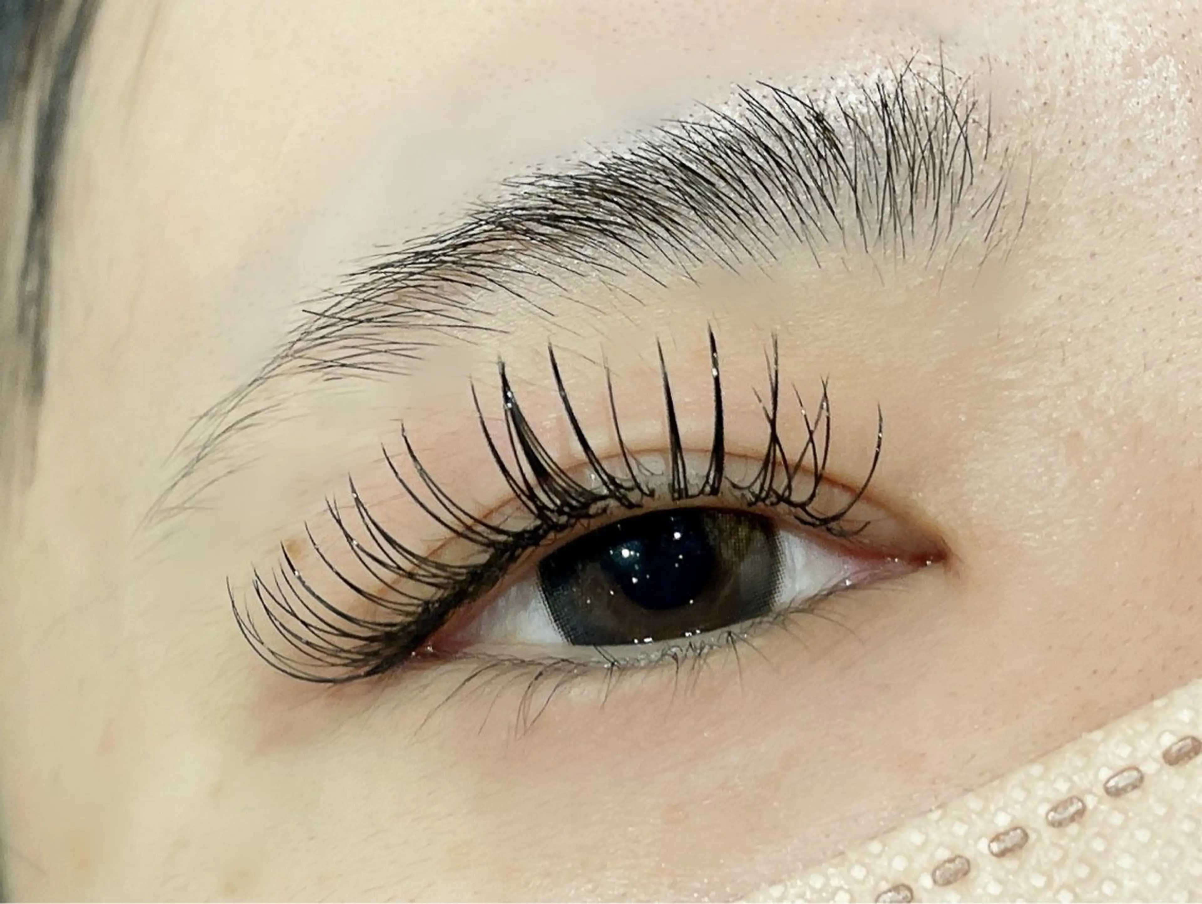 マツエク・マツパ マツエク ダリアビューティー所属・LEDエクステ🫧 ダリアビューティーのマツエク・マツパデザイン