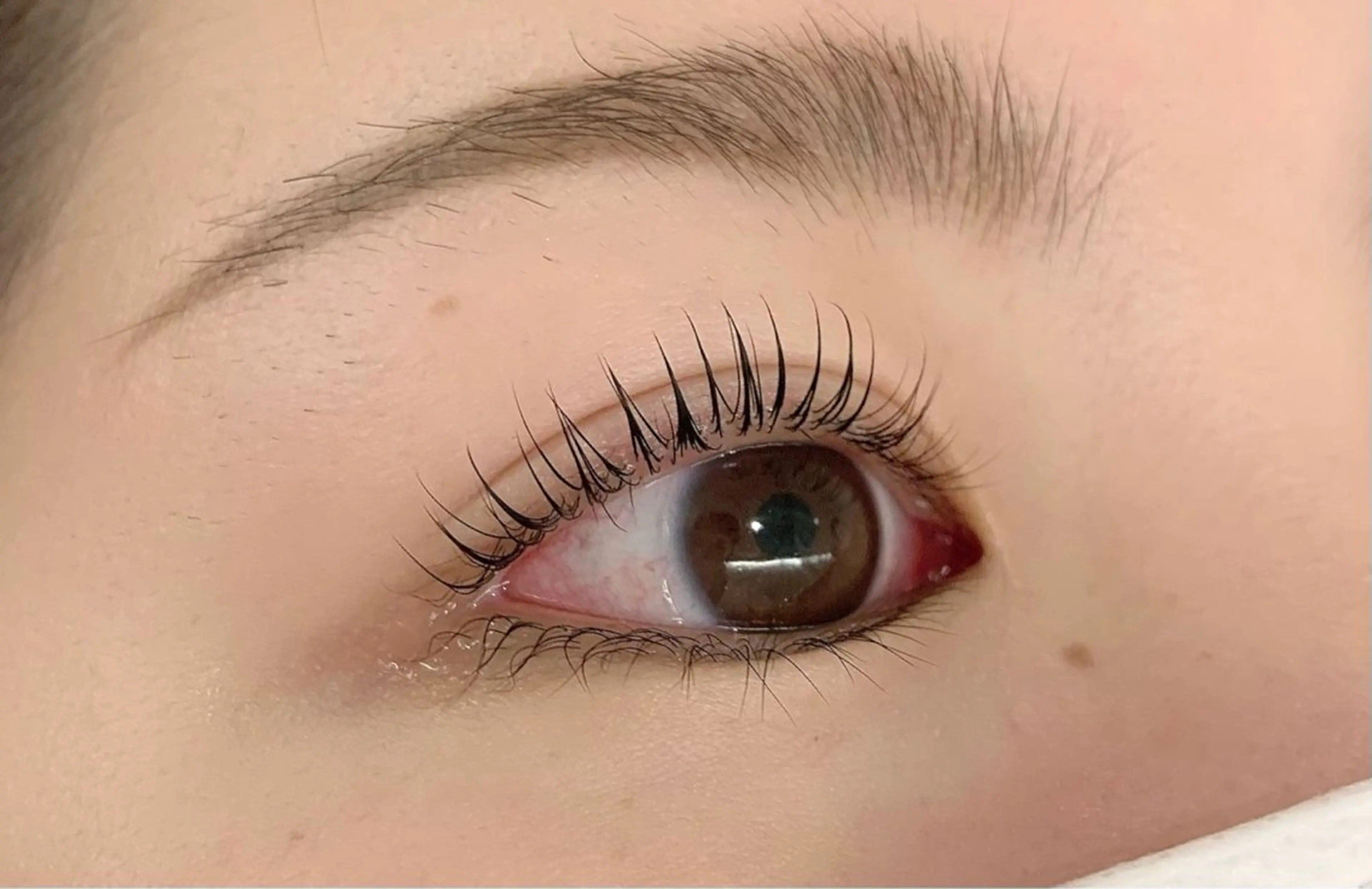 マツエク・マツパ 無料マツエク🪻 新宿駅西口徒歩7分の眉毛・アイブロウイメージ