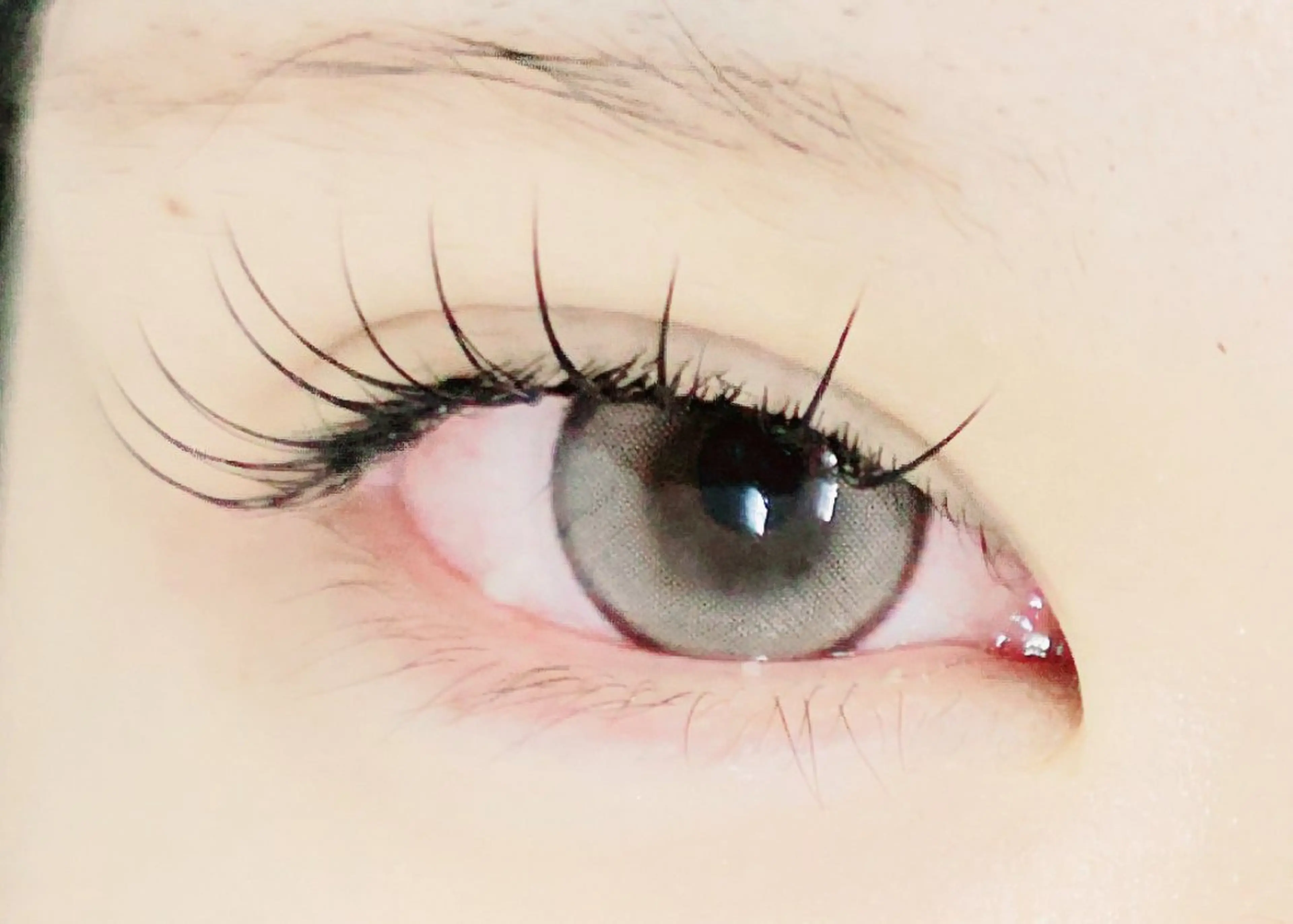 マツエク・マツパ mila池袋　原田 （&3）のマツエク・マツパデザイン