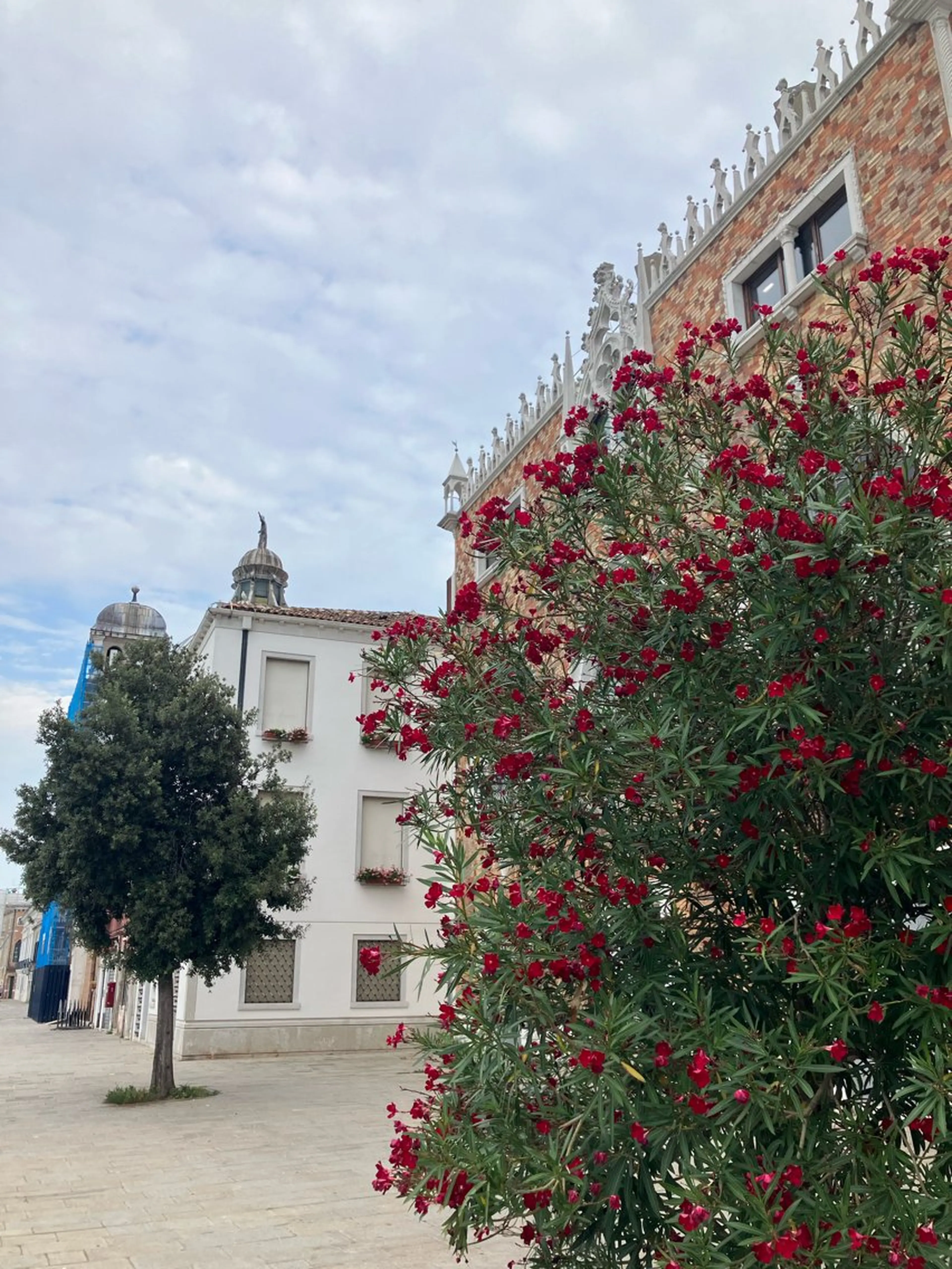 ecarg表参道店 KARIN🌷🫧のマツエク・マツパデザイン