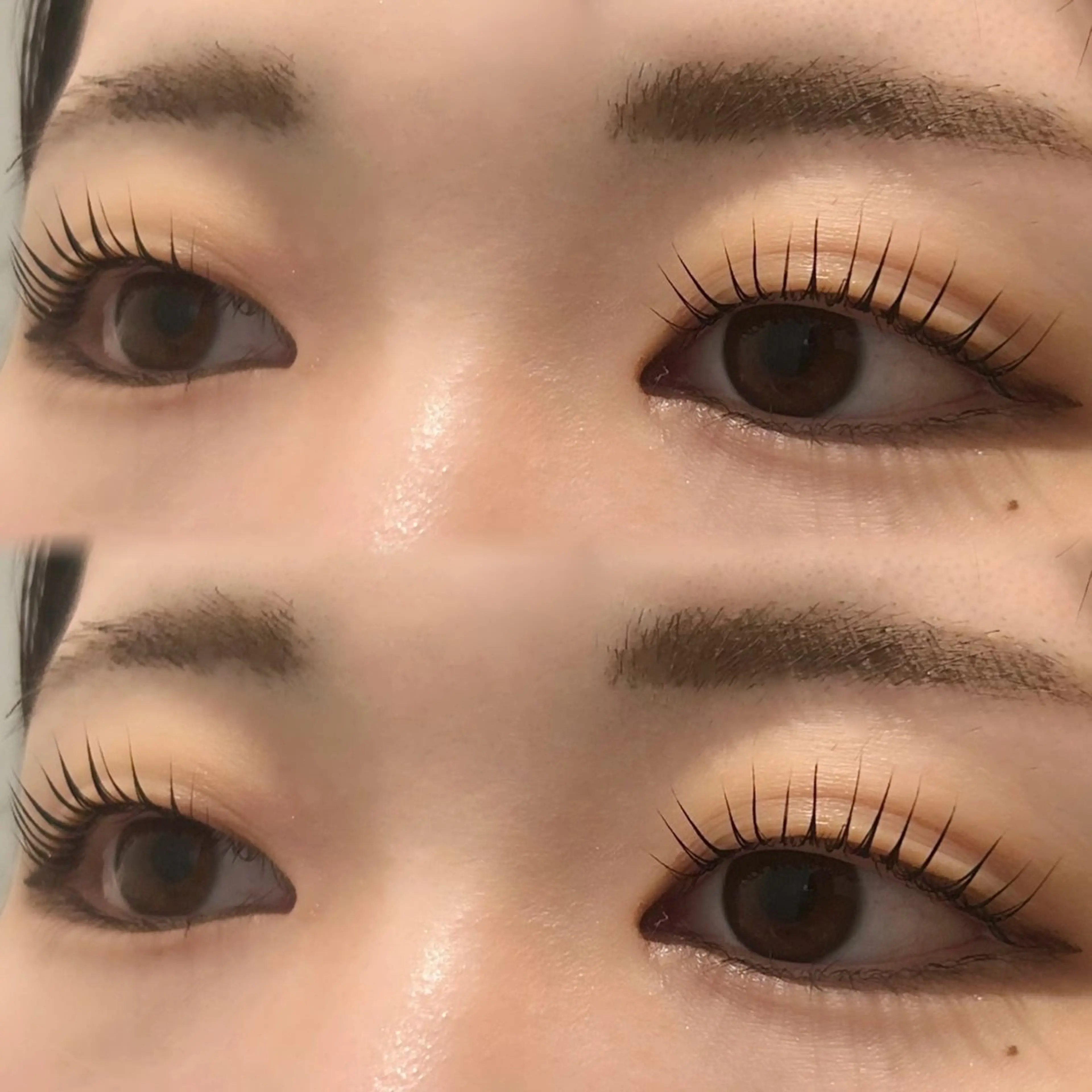 【 リピーター続出‼️ 】韓国風束感まつげパーマ🇰🇷🫧の写真