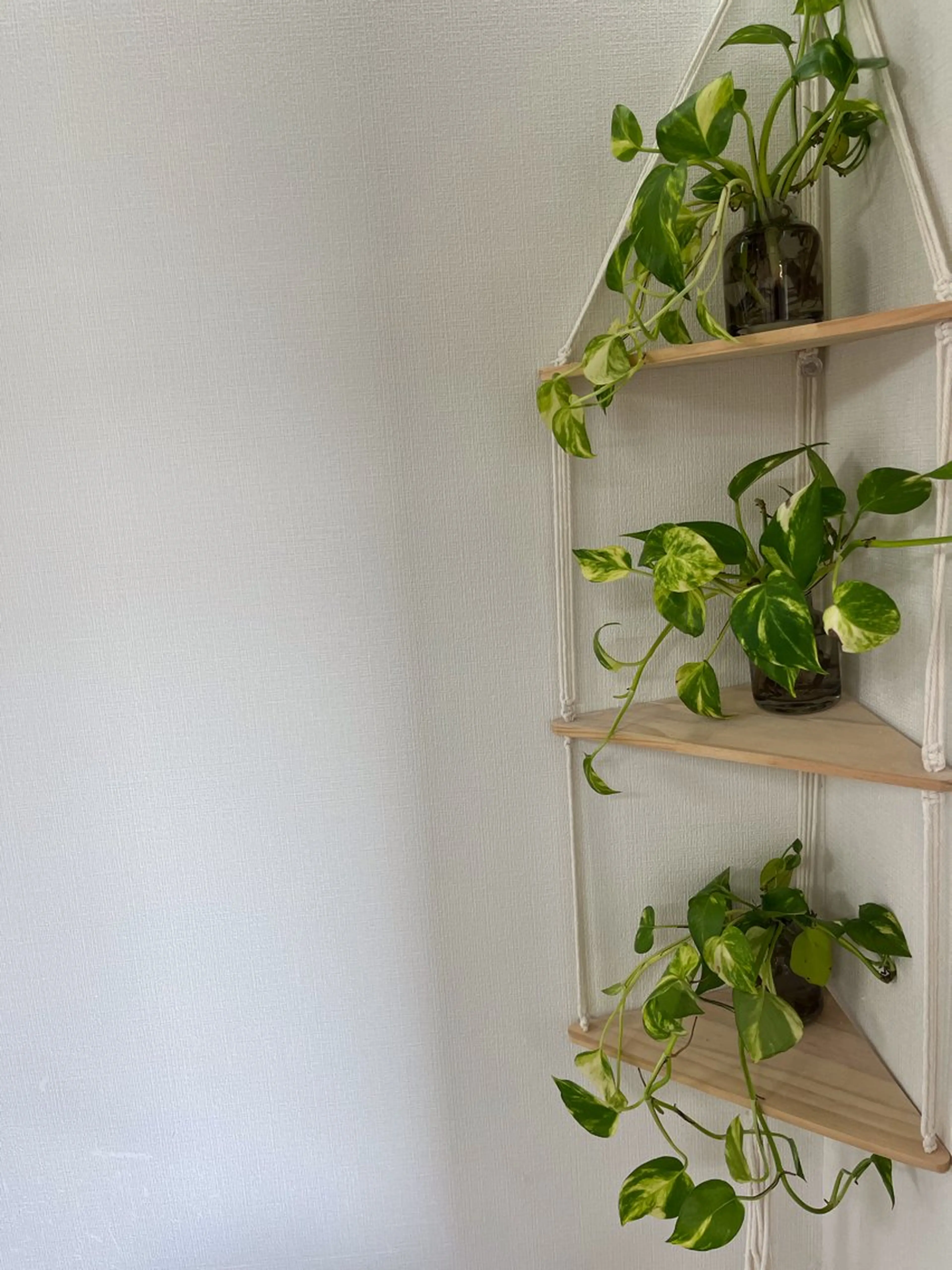 Trinity staffのネイルデザイン