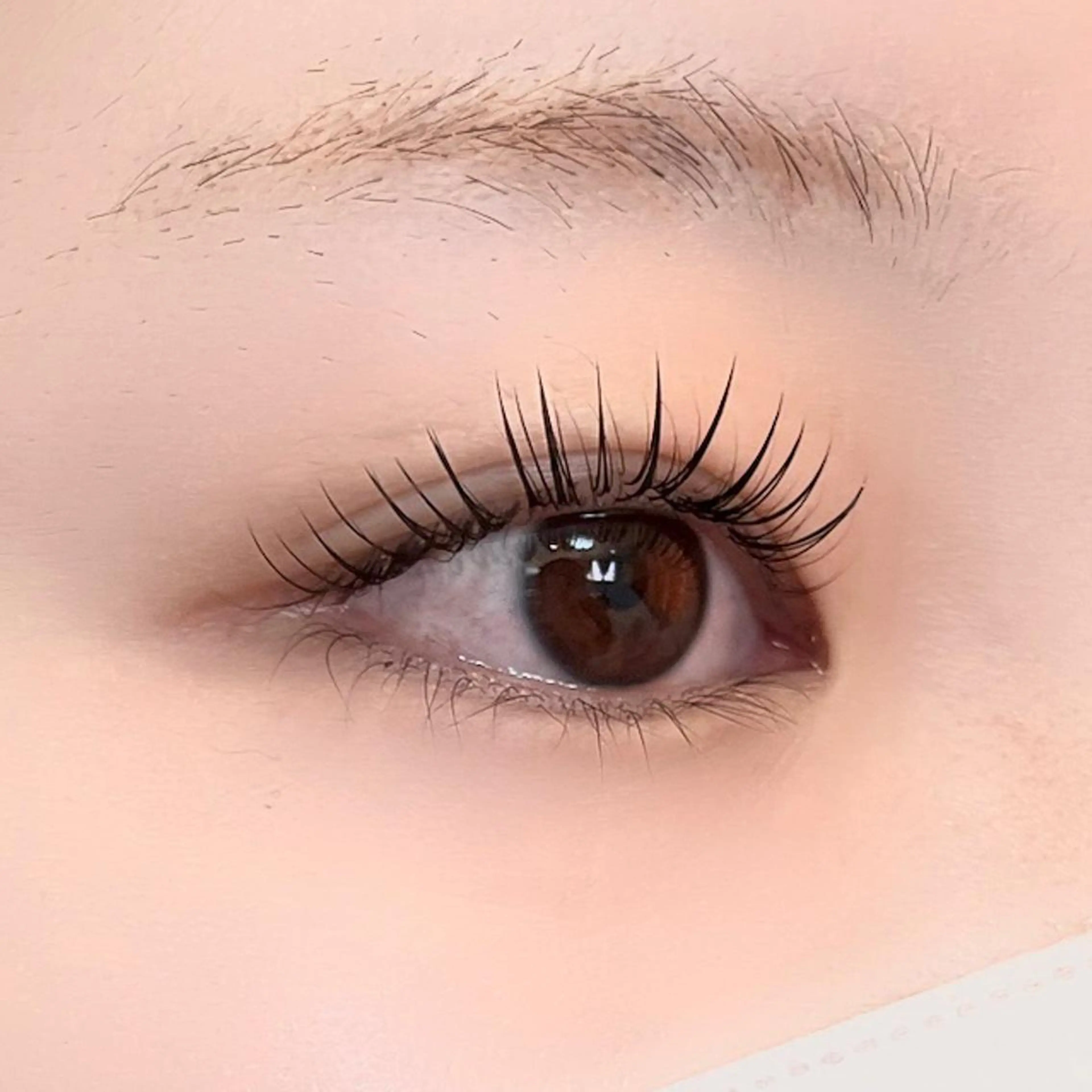 マツエク・マツパ 束感まつ毛 マツエク 🦋平林 未莉🦋✨のマツエク・マツパデザイン