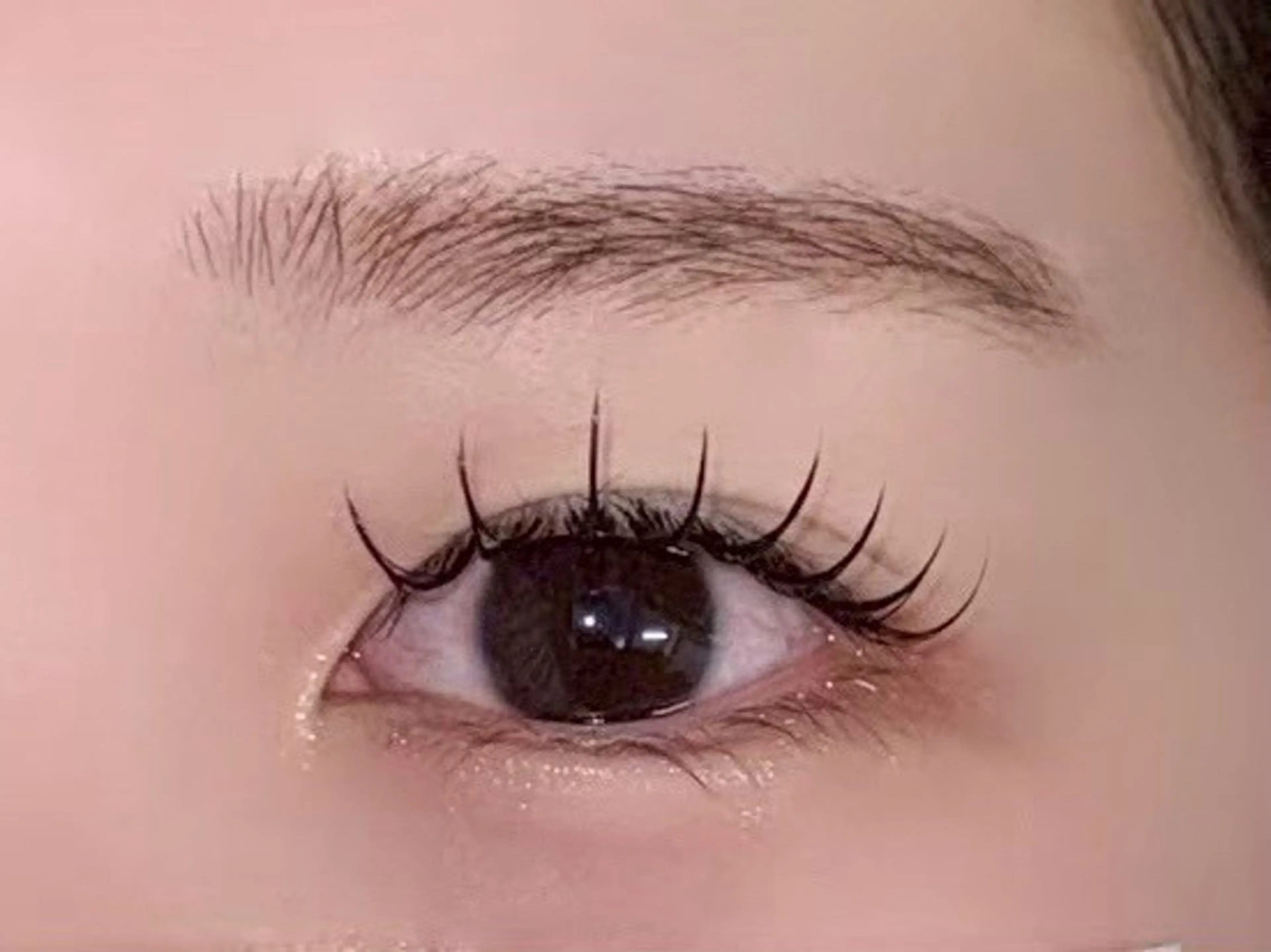 マツエク・マツパ 【束感まつ毛】 🐶Syunya🐶のマツエク・マツパデザイン