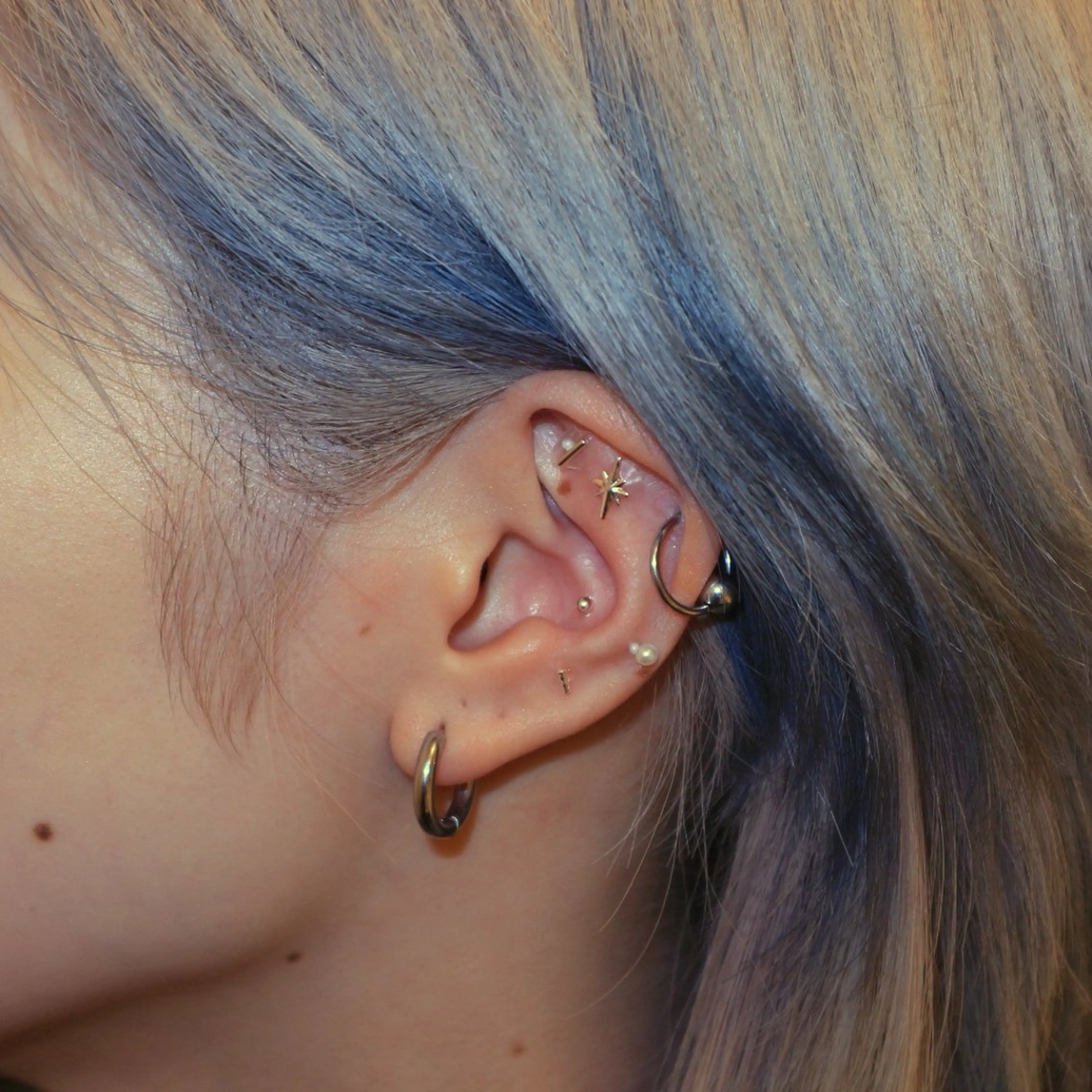 B.napus/mimi2bo所属・B.napus Nanohaのその他イメージ