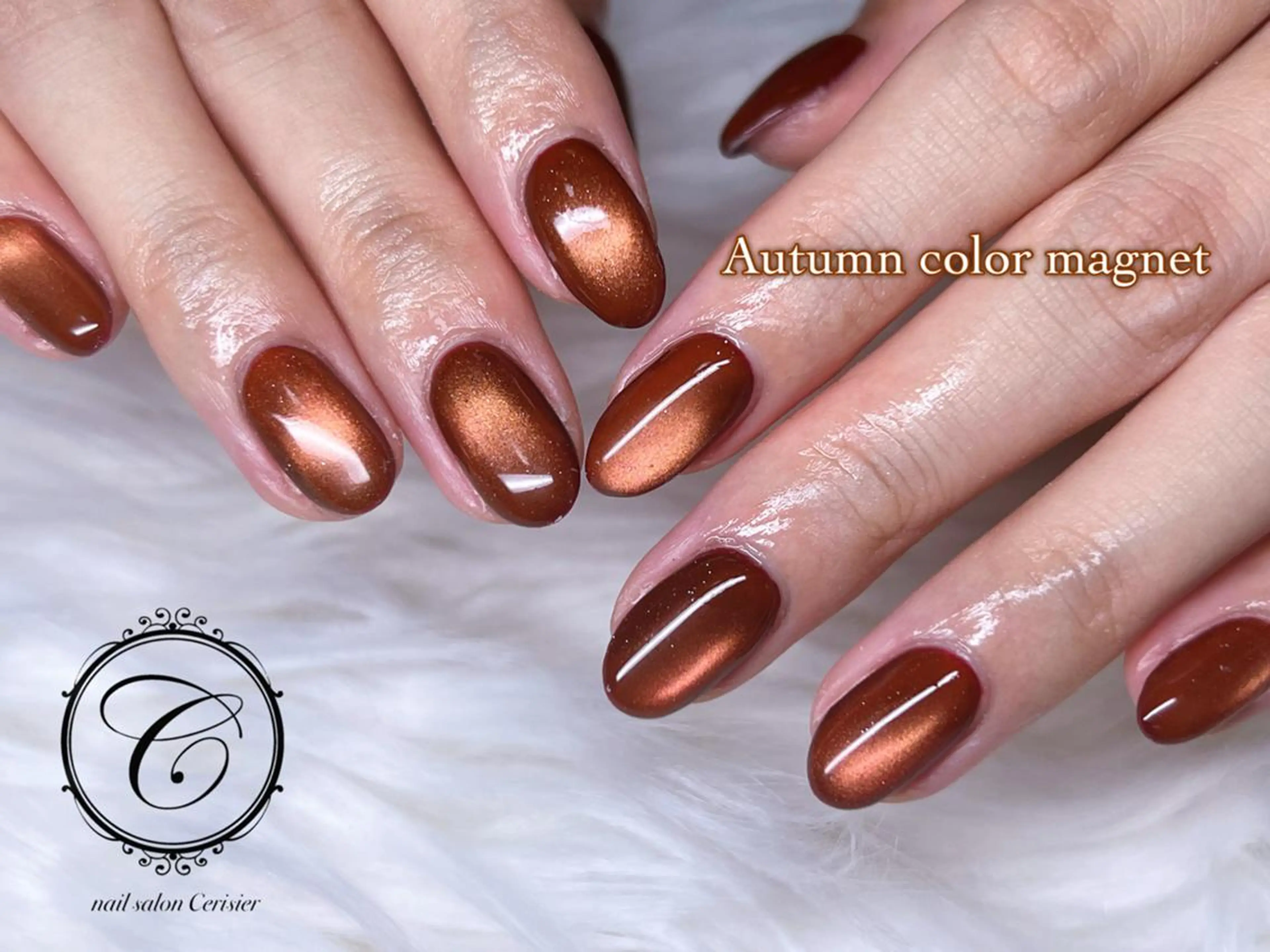 ネイル ジェルネイル マグネットネイル パラジェル ハンドネイル cerisier セリシールのネイルデザイン