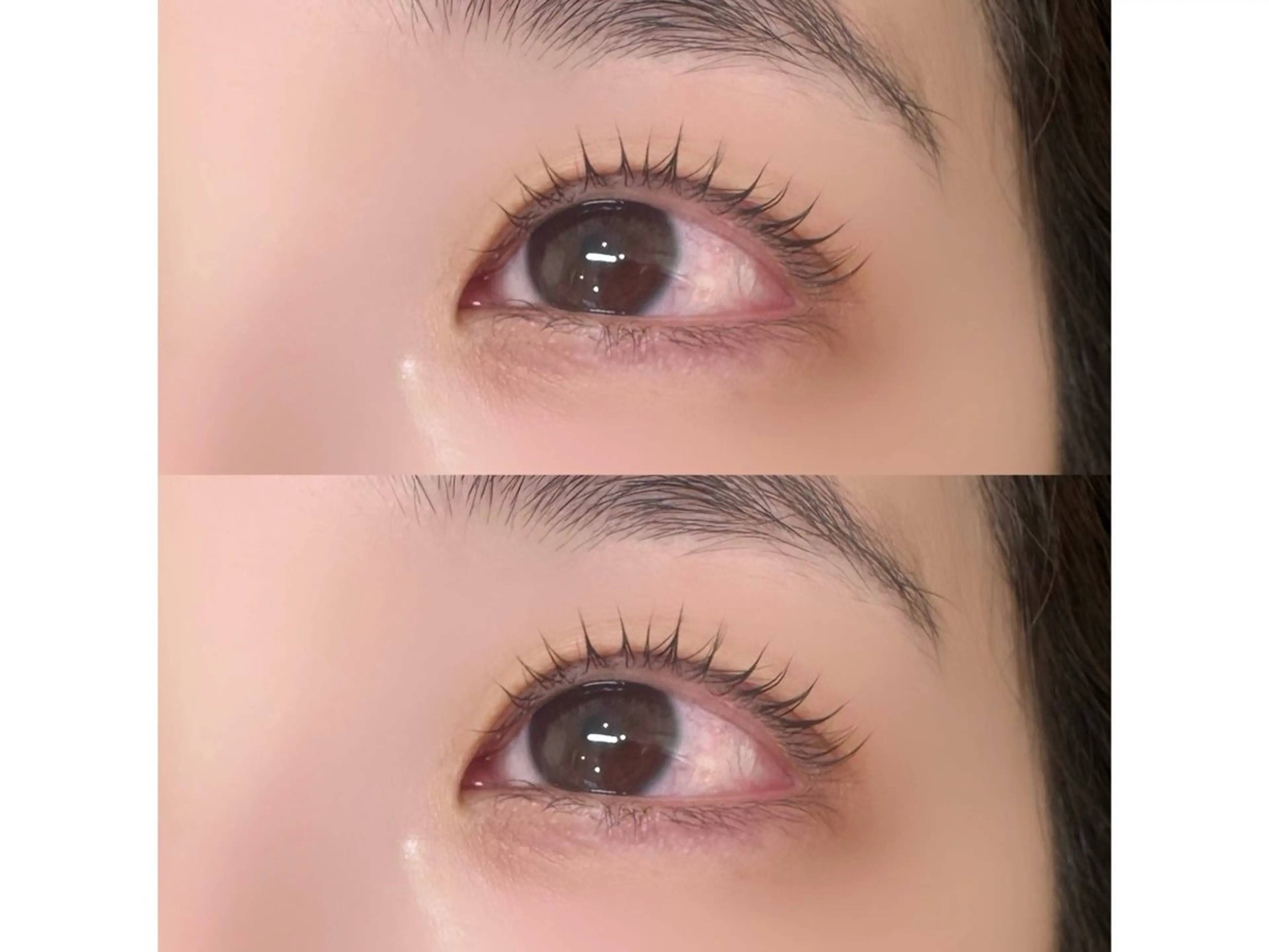 🌸学生割引🌸まつ毛パーマ＋コーティングの写真