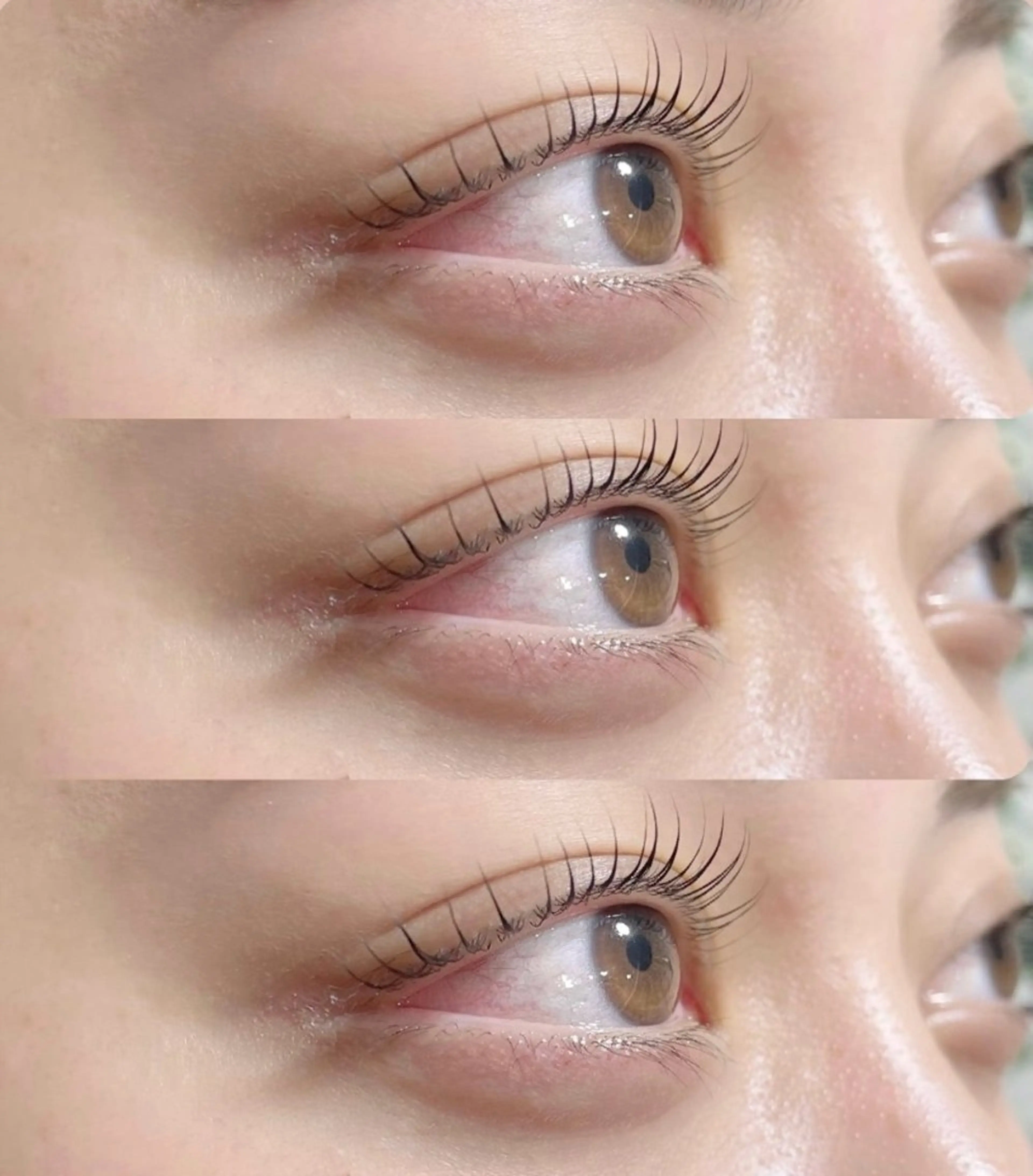 マツエク・マツパ 一重×まつ毛パーマ eyelash&eyebrow Erde所属・Erde/ horizoe🕊️の眉毛・アイブロウイメージ