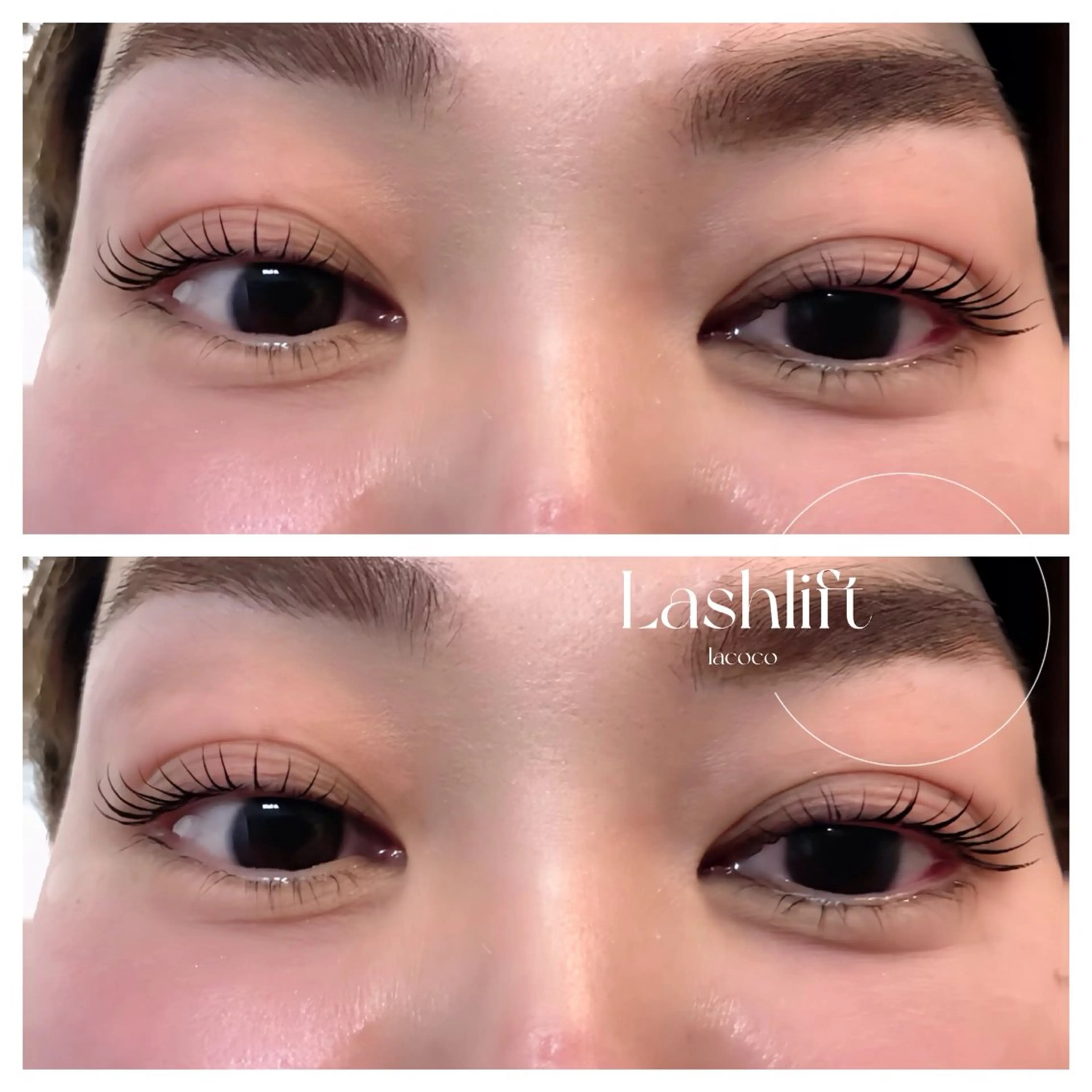 🌹まつ毛パーマ🌹 ✨ラッシュリフト✨の写真