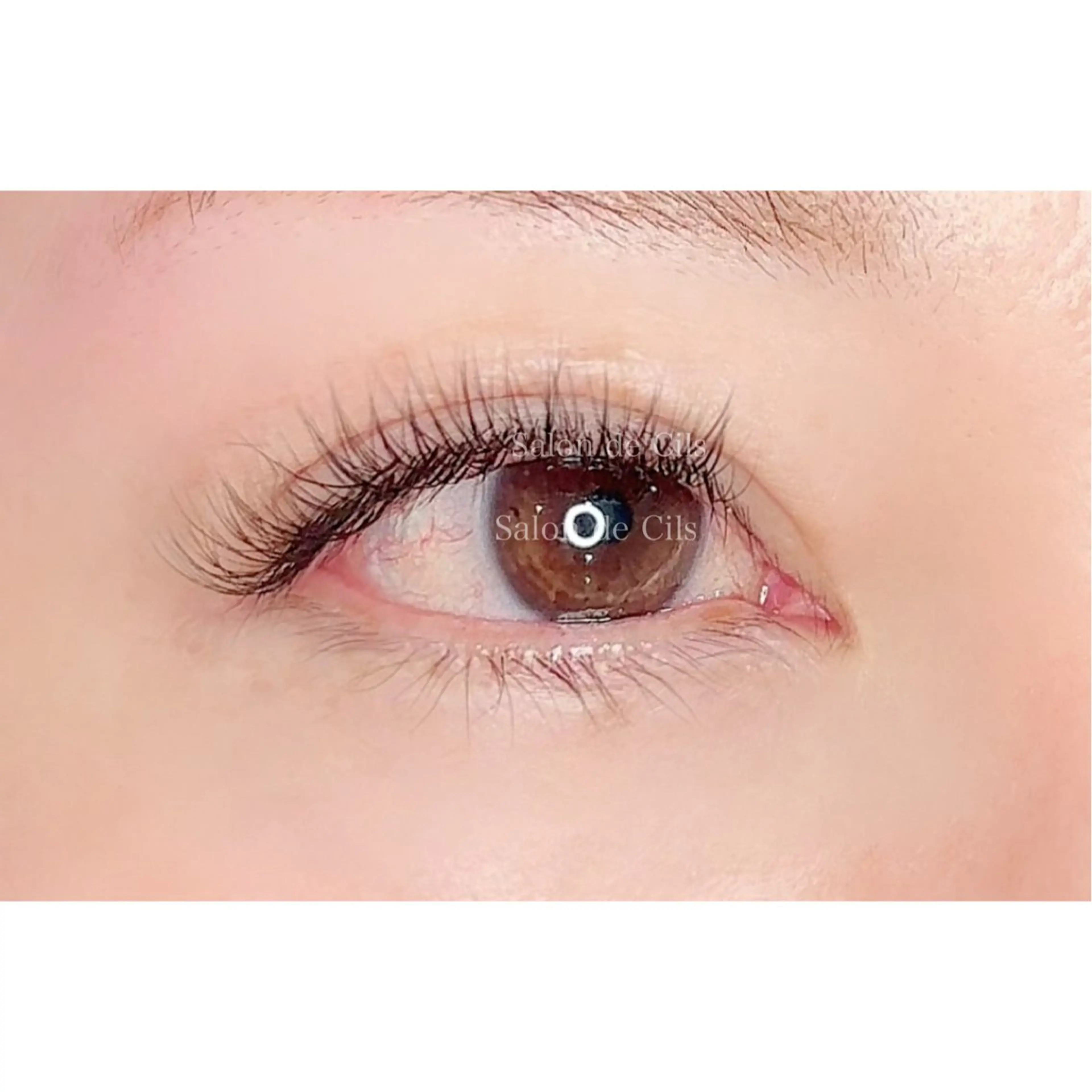 マツエク・マツパ マツエク Salon  de Cils所属・Salon de Cilsのマツエク・マツパデザイン