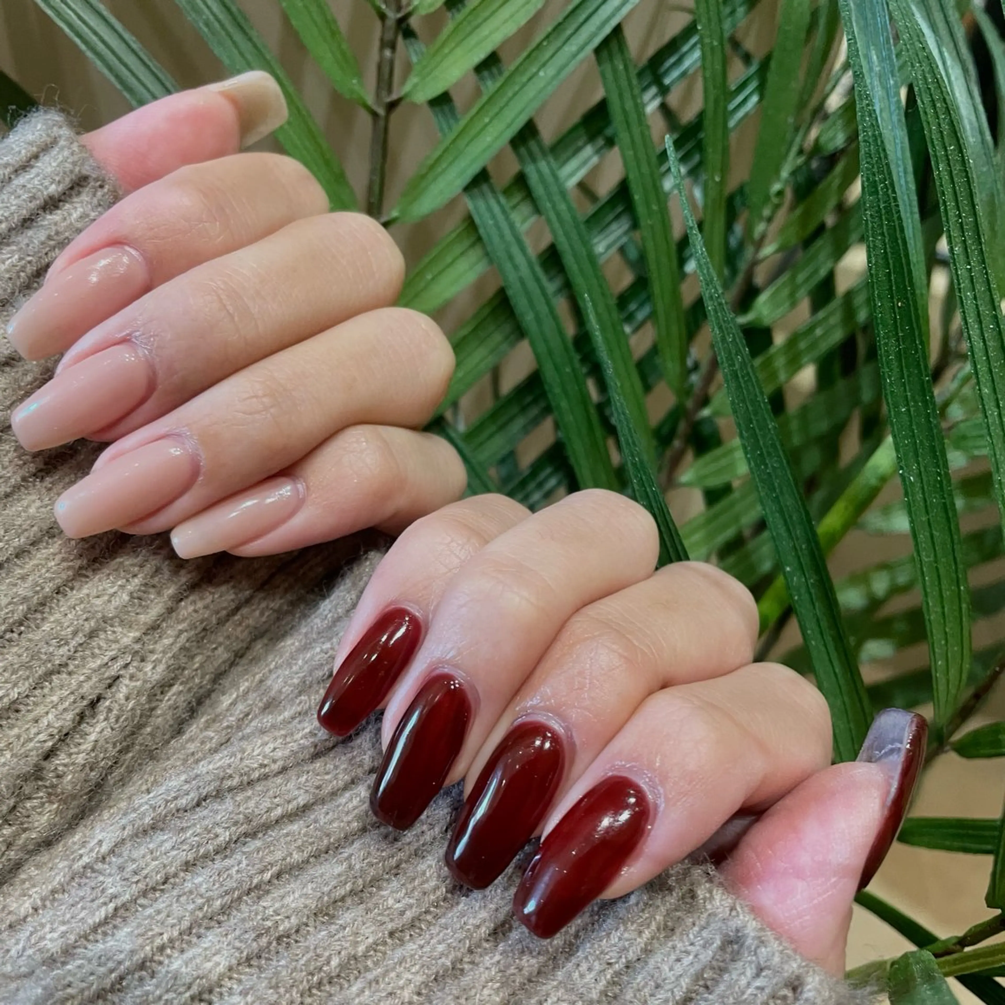 オフなしワンカラーの写真