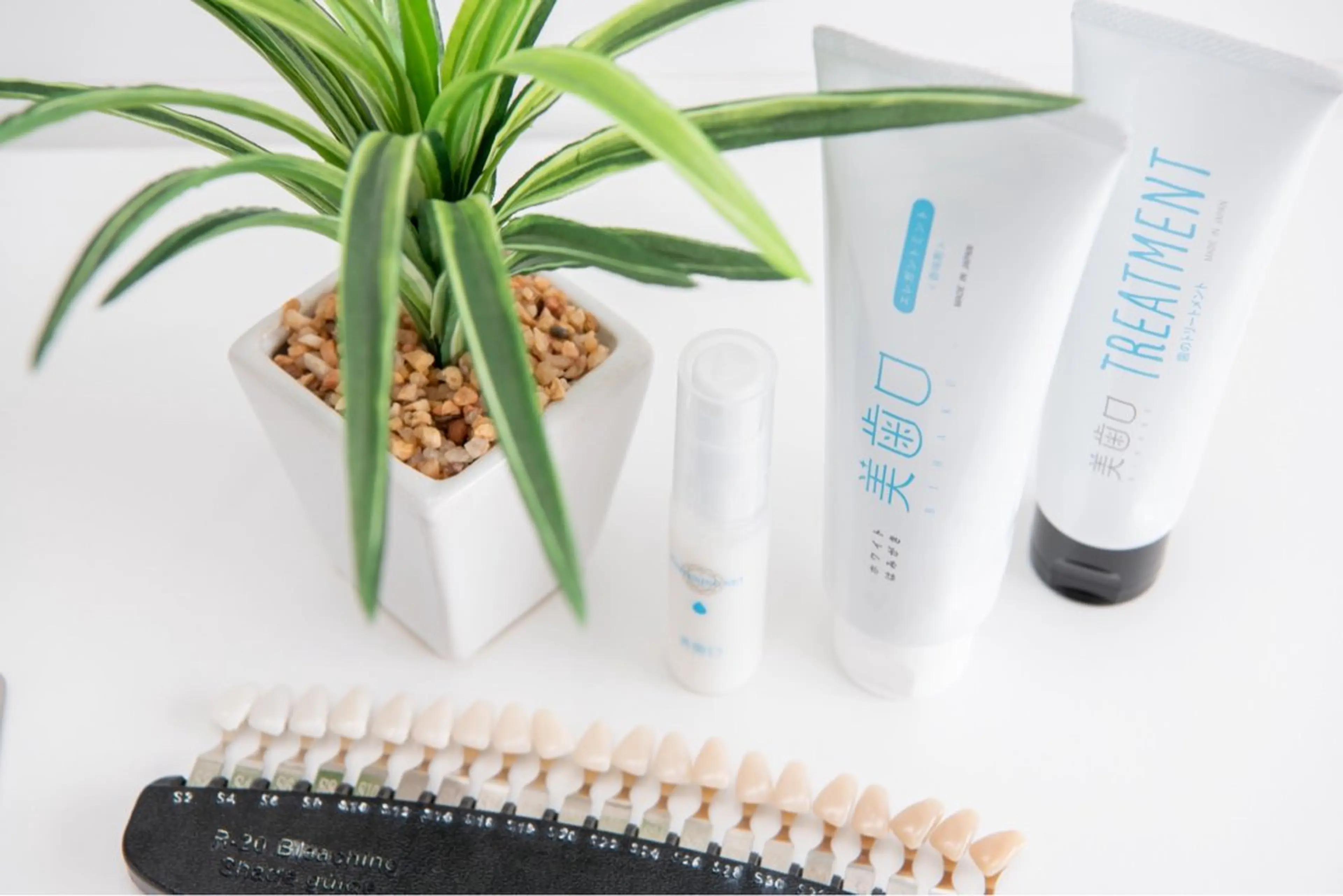 どのコースにしようか悩まれた方はこちら✨️当日ご相談コース😊の写真