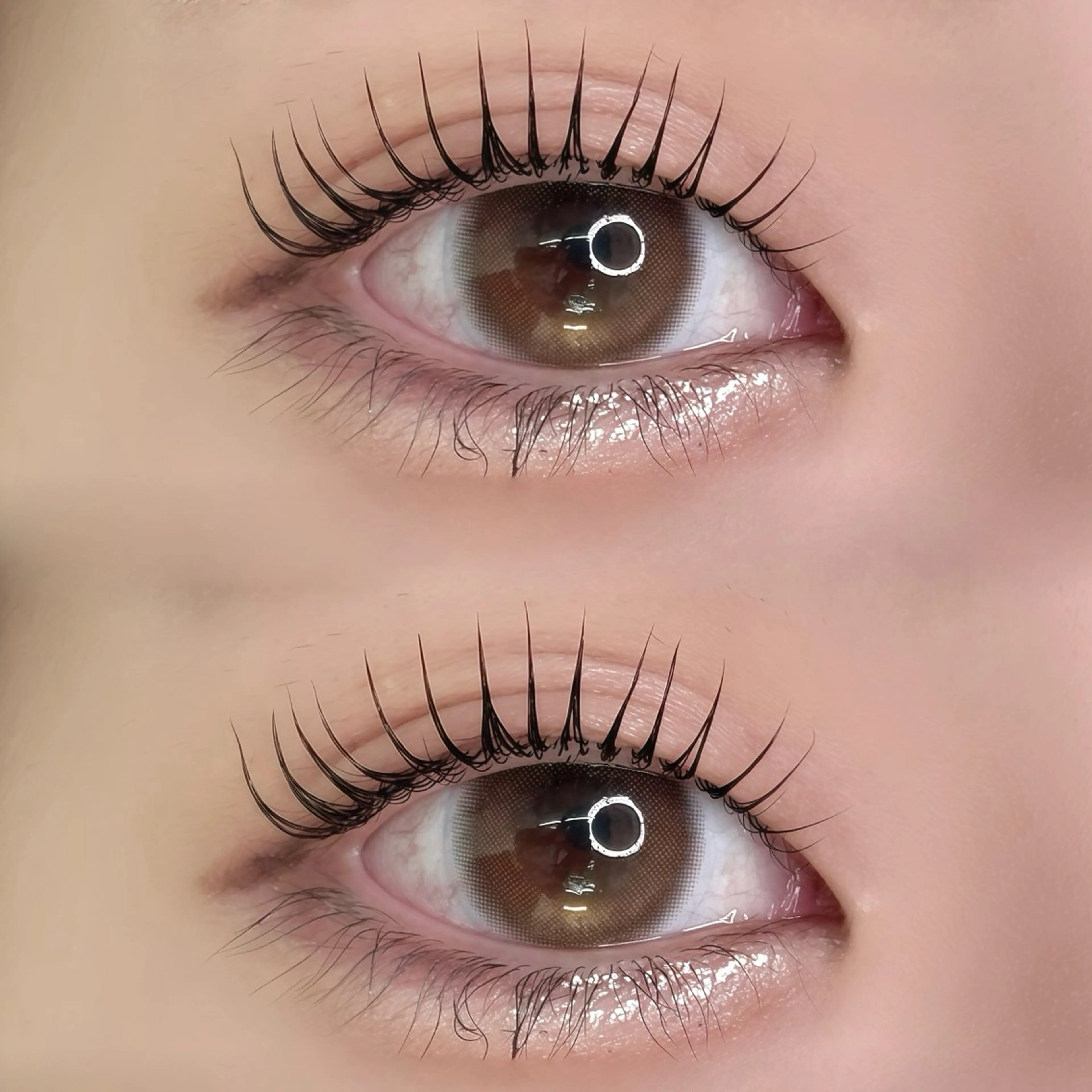 パリジェンヌラッシュリフトorオーダーメイドまつげパーマ🩷表参道/原宿/渋谷の写真