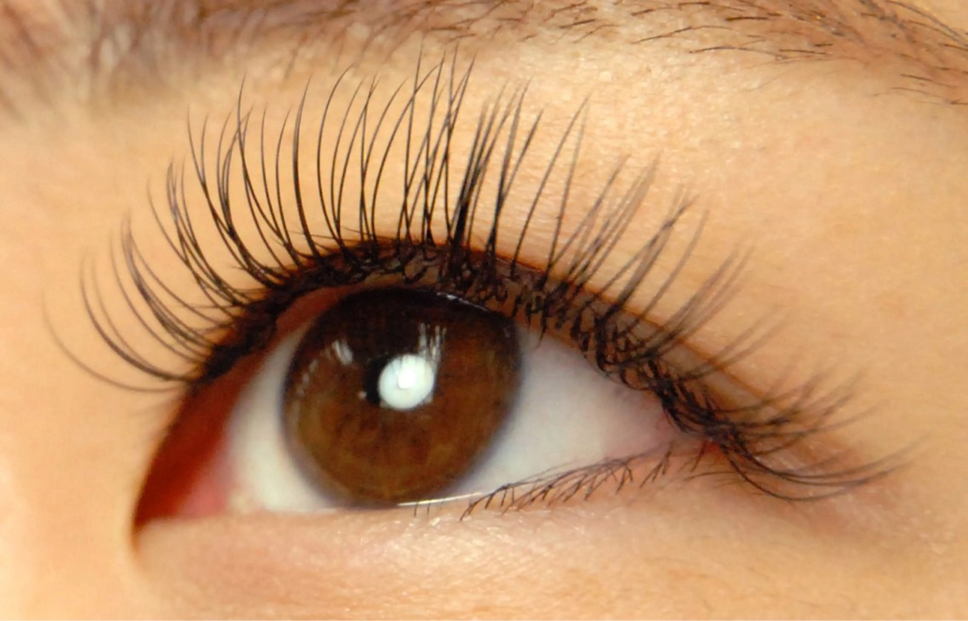 マツエク・マツパ IRIE(アイリー)所属・IRIE (アイリー)のマツエク・マツパデザイン