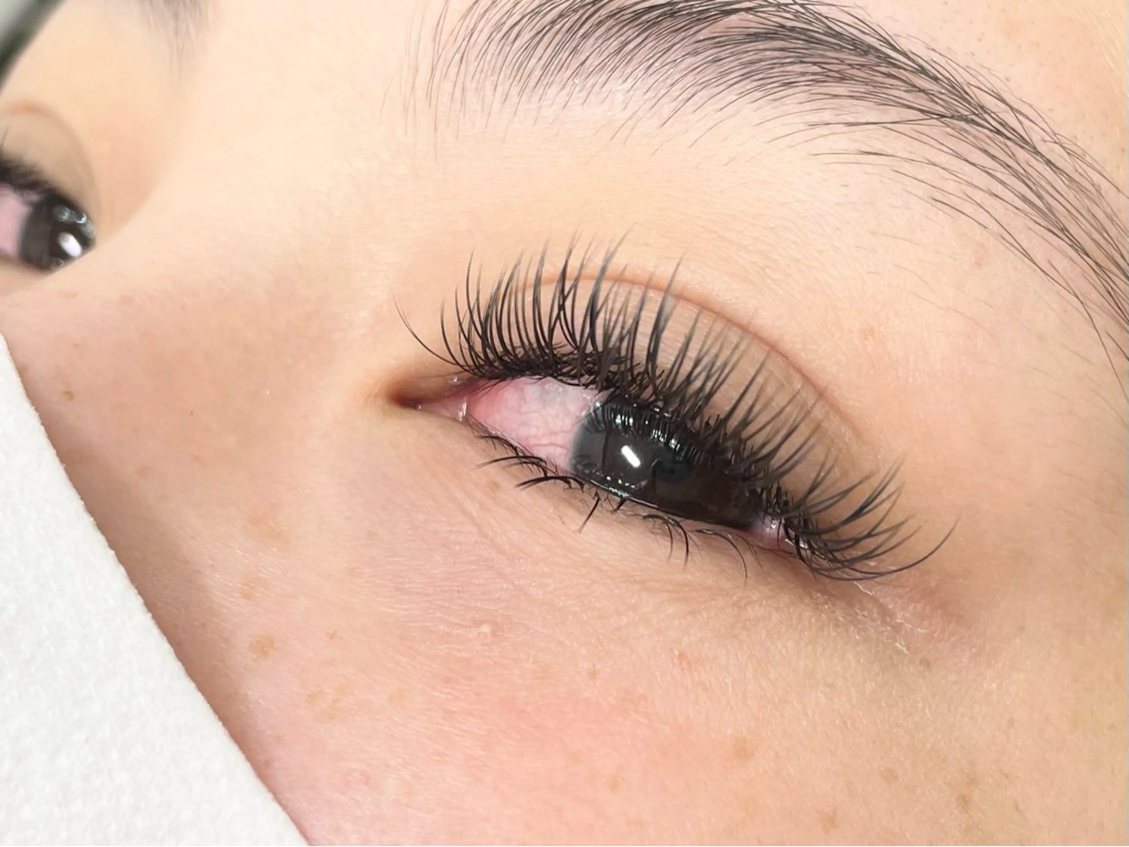 まつ毛エクステ　フラットラッシュバインド　100本(上まつ毛)の写真