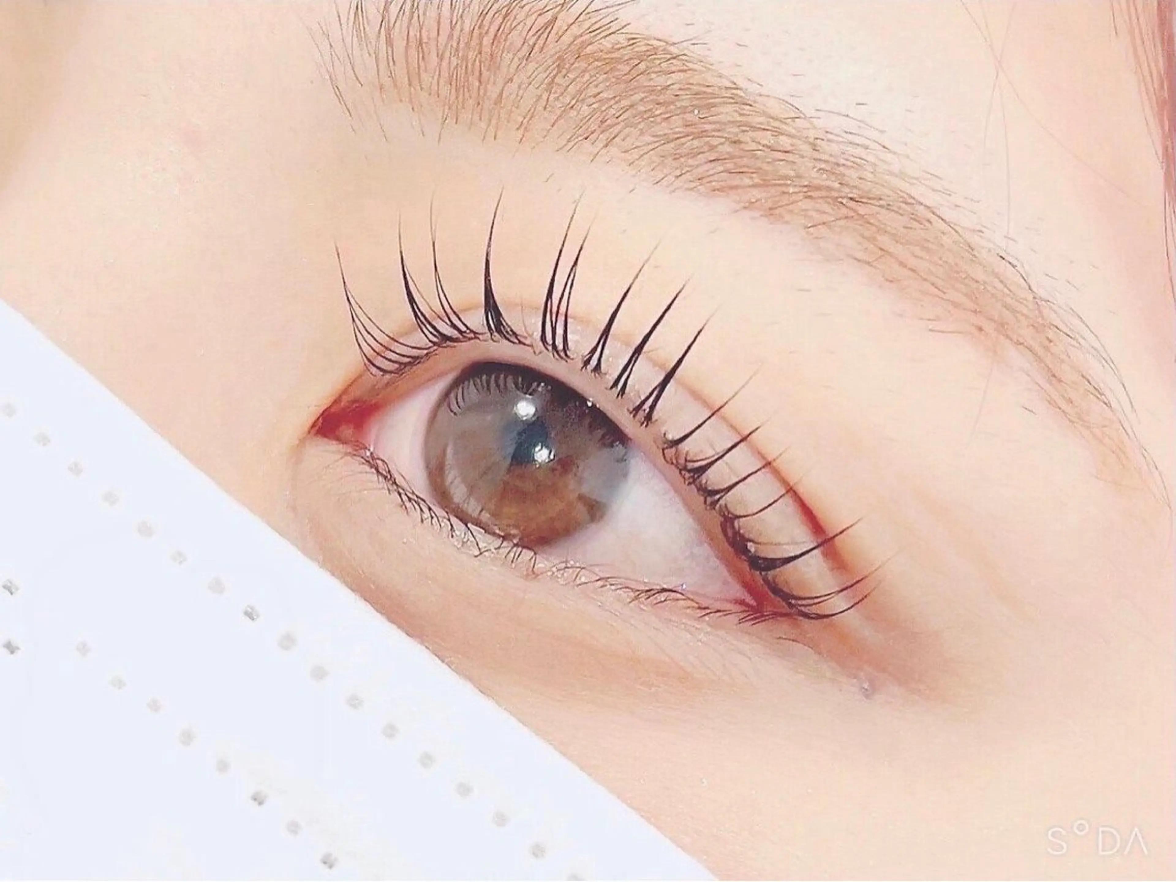 マツエク・マツパ Honey&Miel 🩶🎀AYANAのマツエク・マツパデザイン