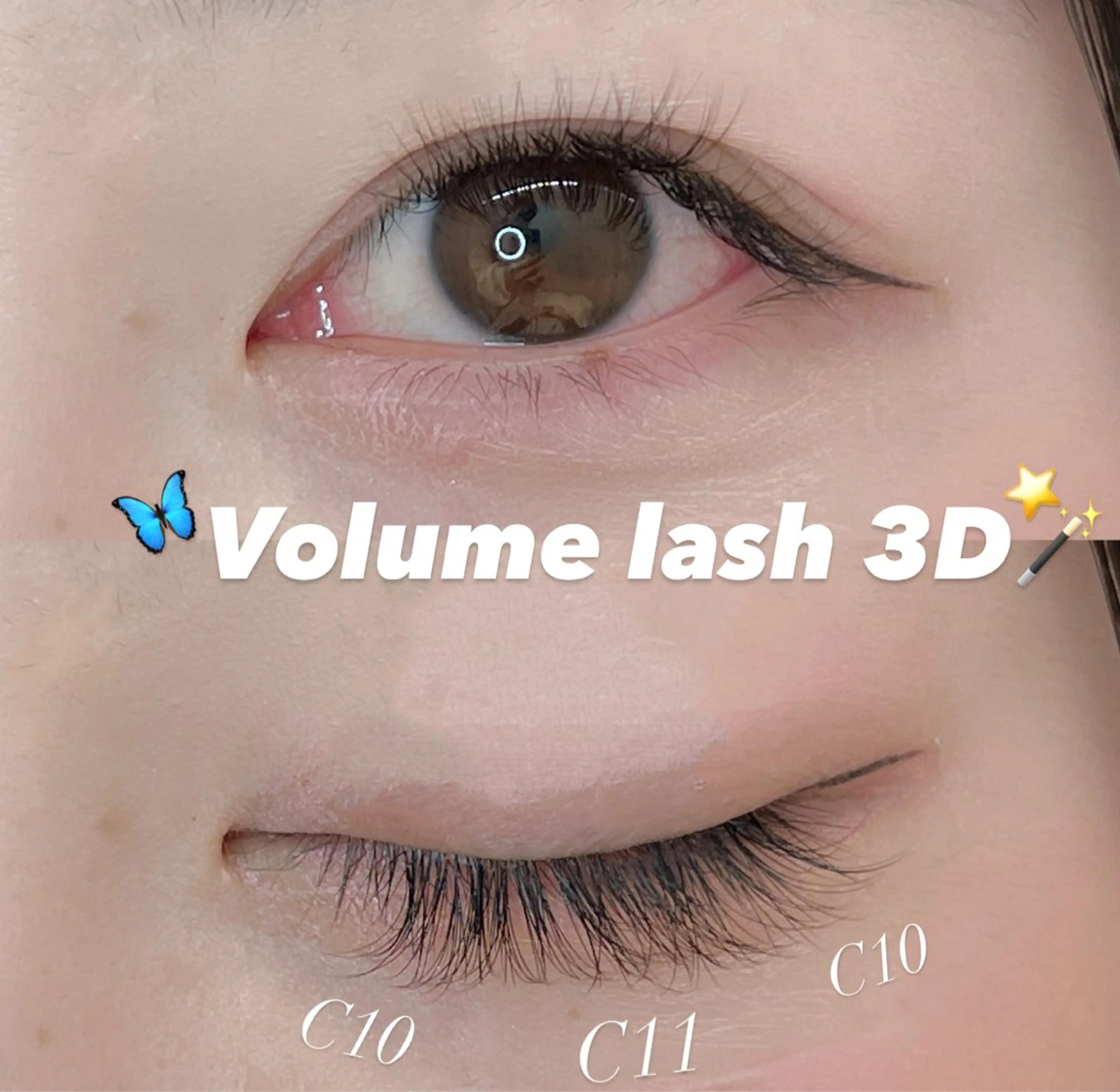 マツエク・マツパ ボリュームラッシュ eyelist ayaka🍨のマツエク・マツパデザイン