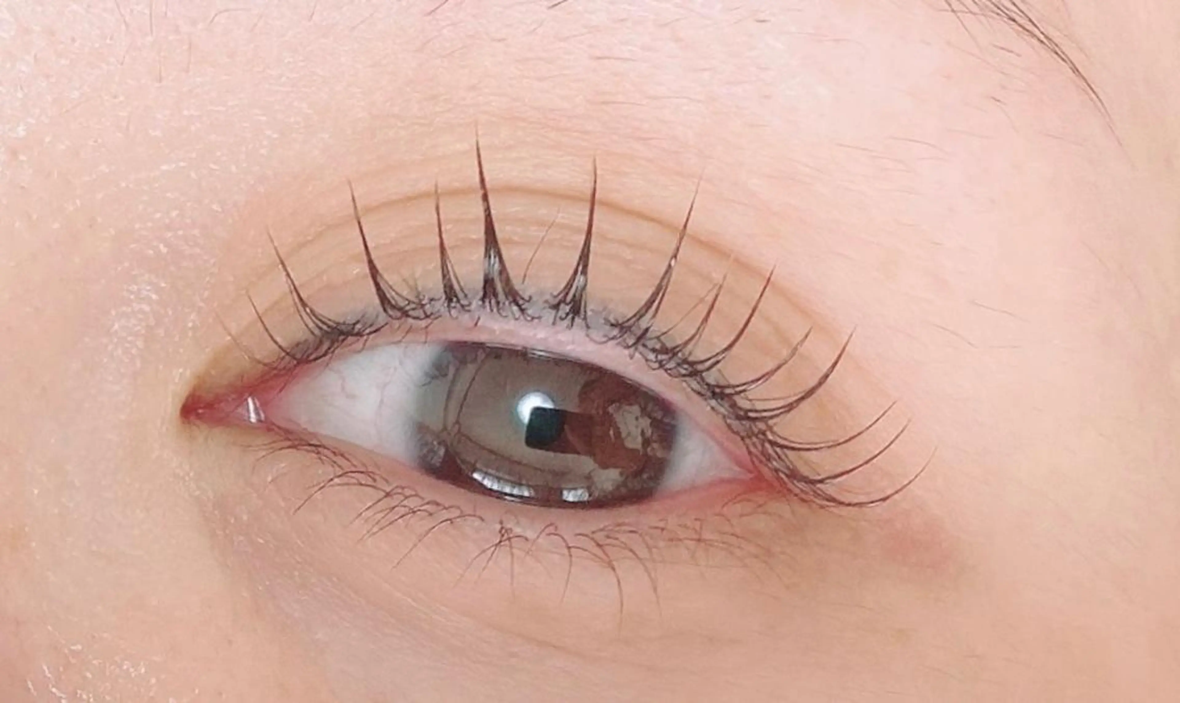 マツエク・マツパ 【那覇/束感まつ毛】 ｷｬﾒﾙのマツエク・マツパデザイン