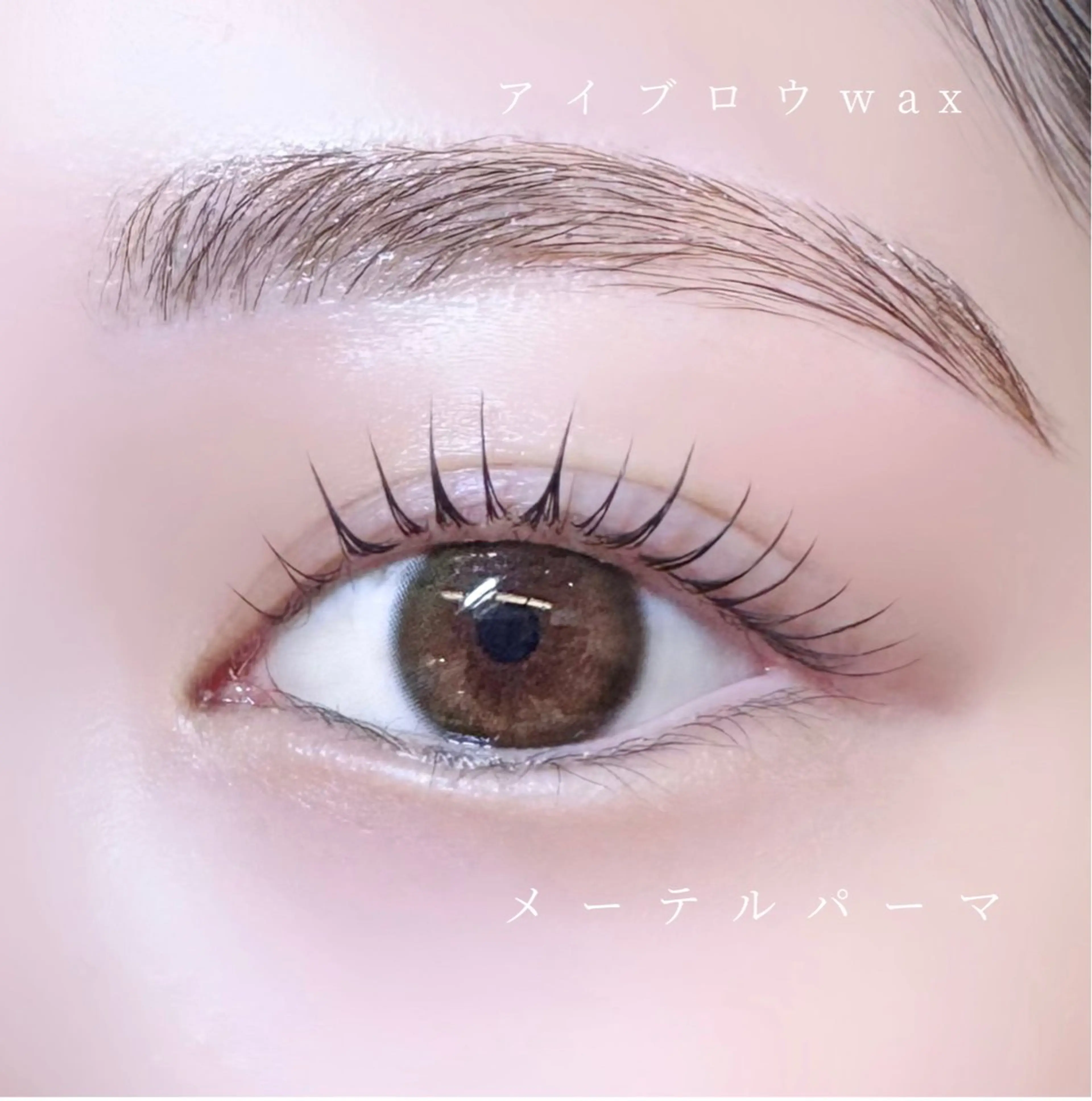 🧡アイブロウwax【メイク仕上付き】の写真