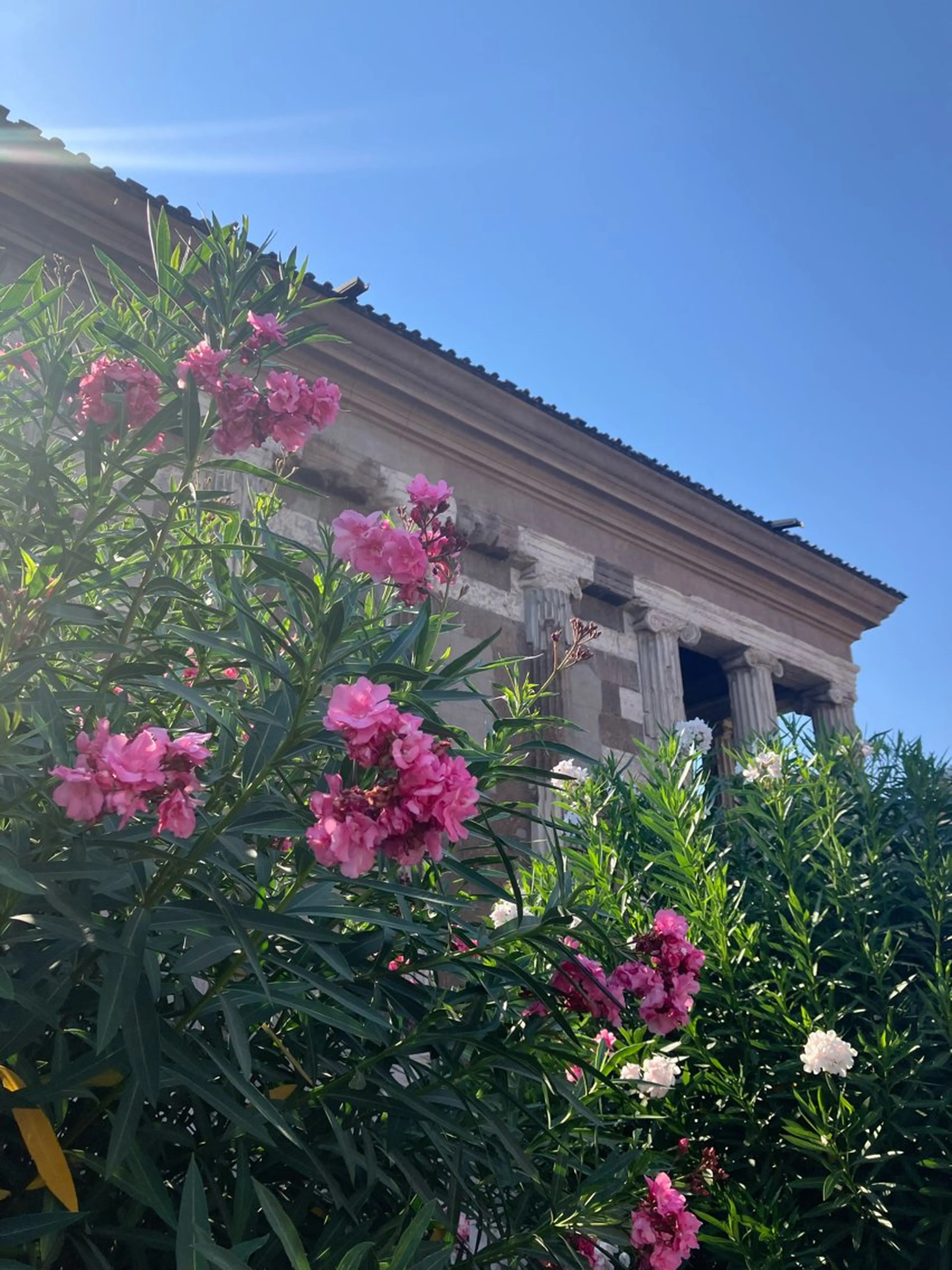 ecarg表参道店 KARIN🌷🫧のマツエク・マツパデザイン