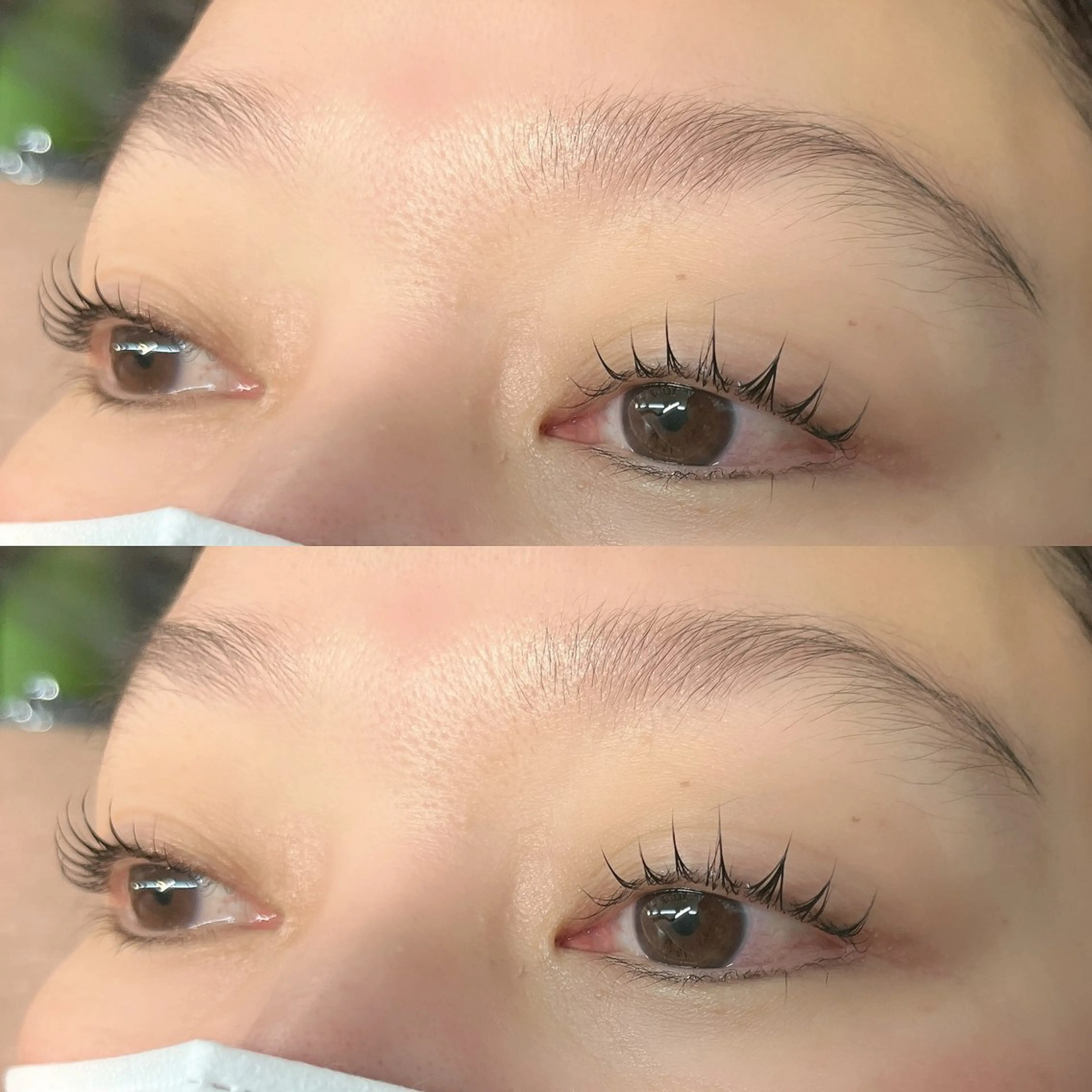 マツエク・マツパ HOMEbySOLO所属・下北沢🌻 Arisaのマツエク・マツパデザイン