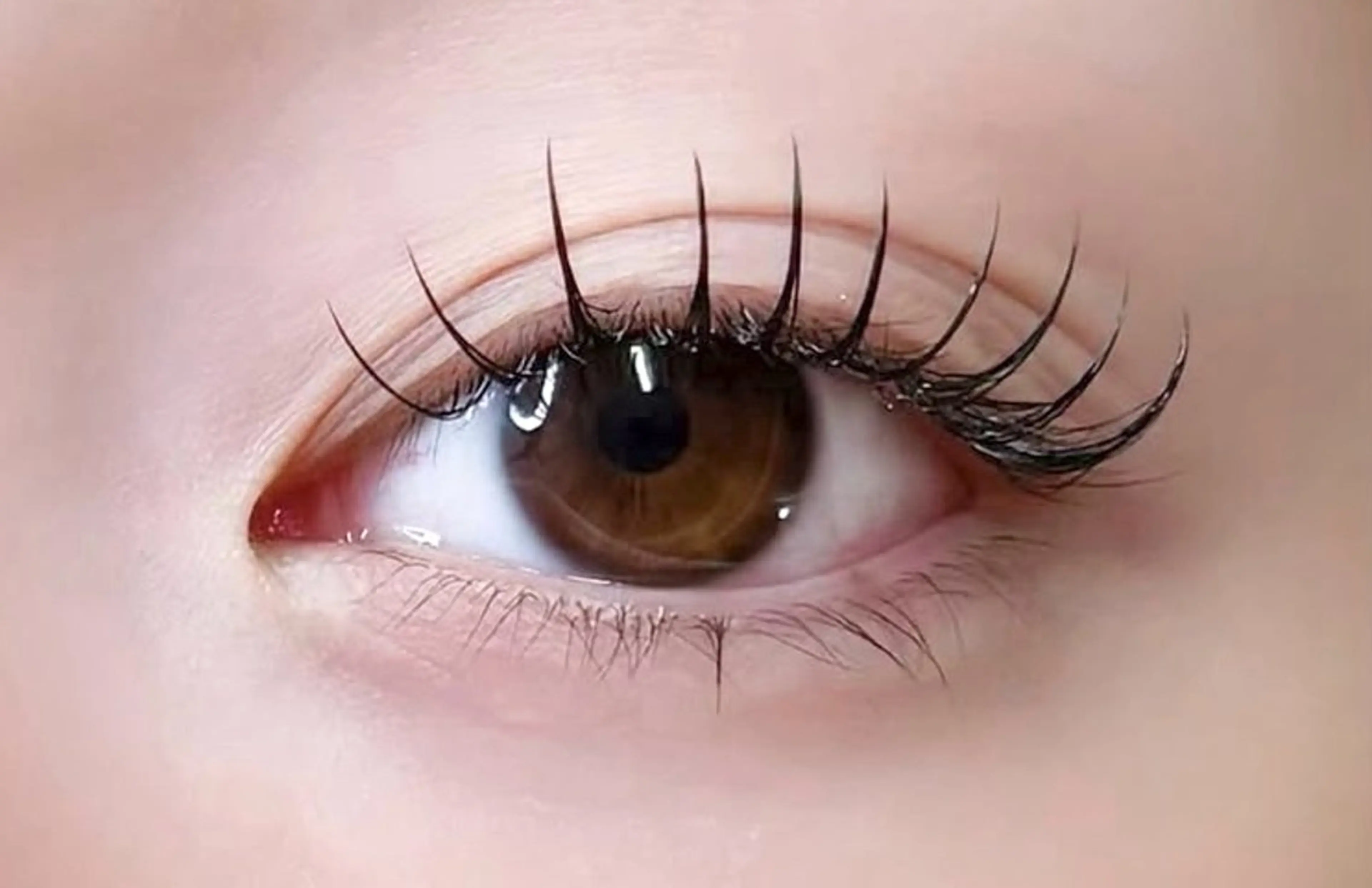 マツエク フラットラッシュ100本🤍の写真