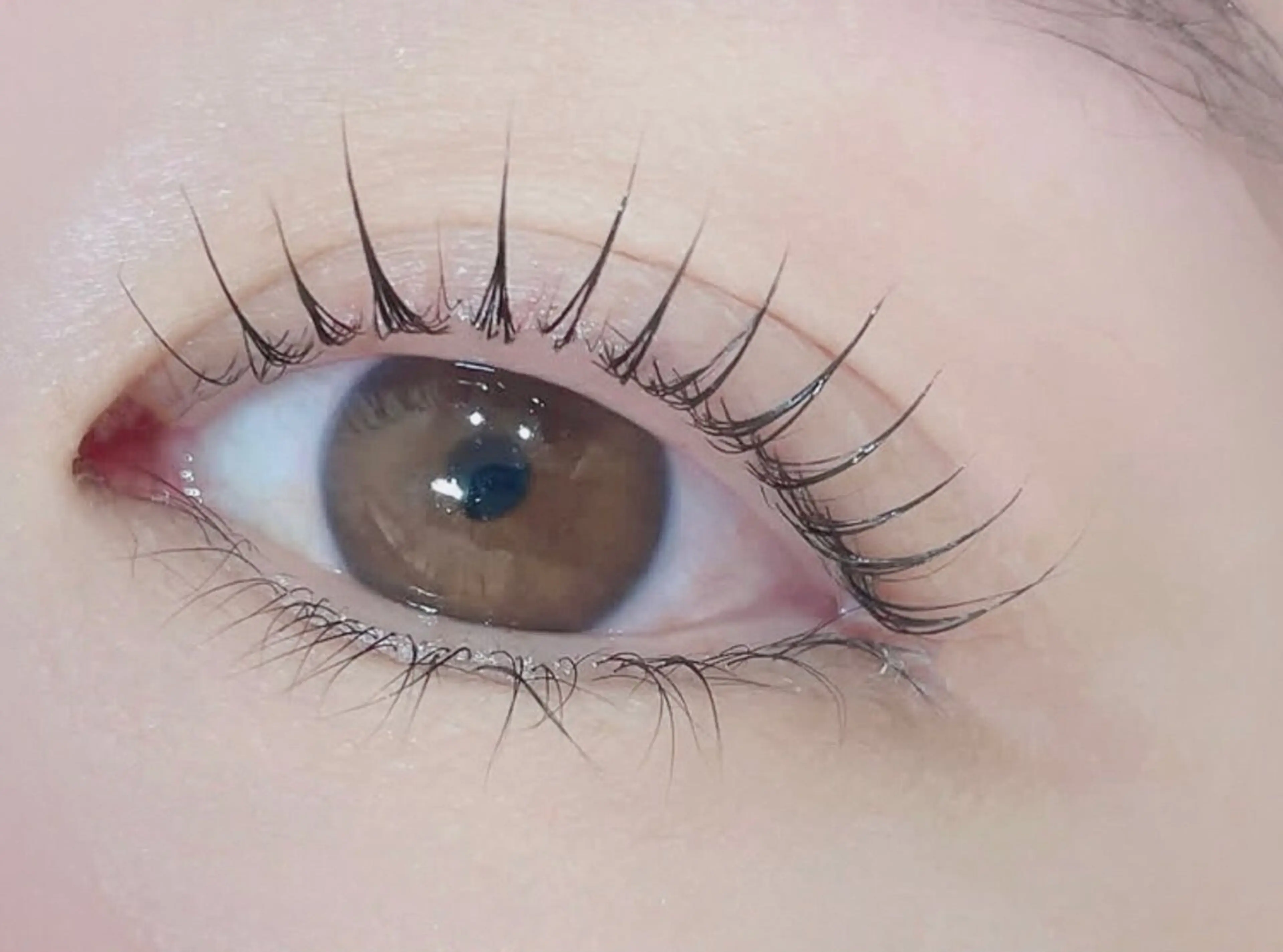 マツエク・マツパ マツパ アレグレス所属・アレグレス@池袋 🌹大人気店🌹のマツエク・マツパデザイン