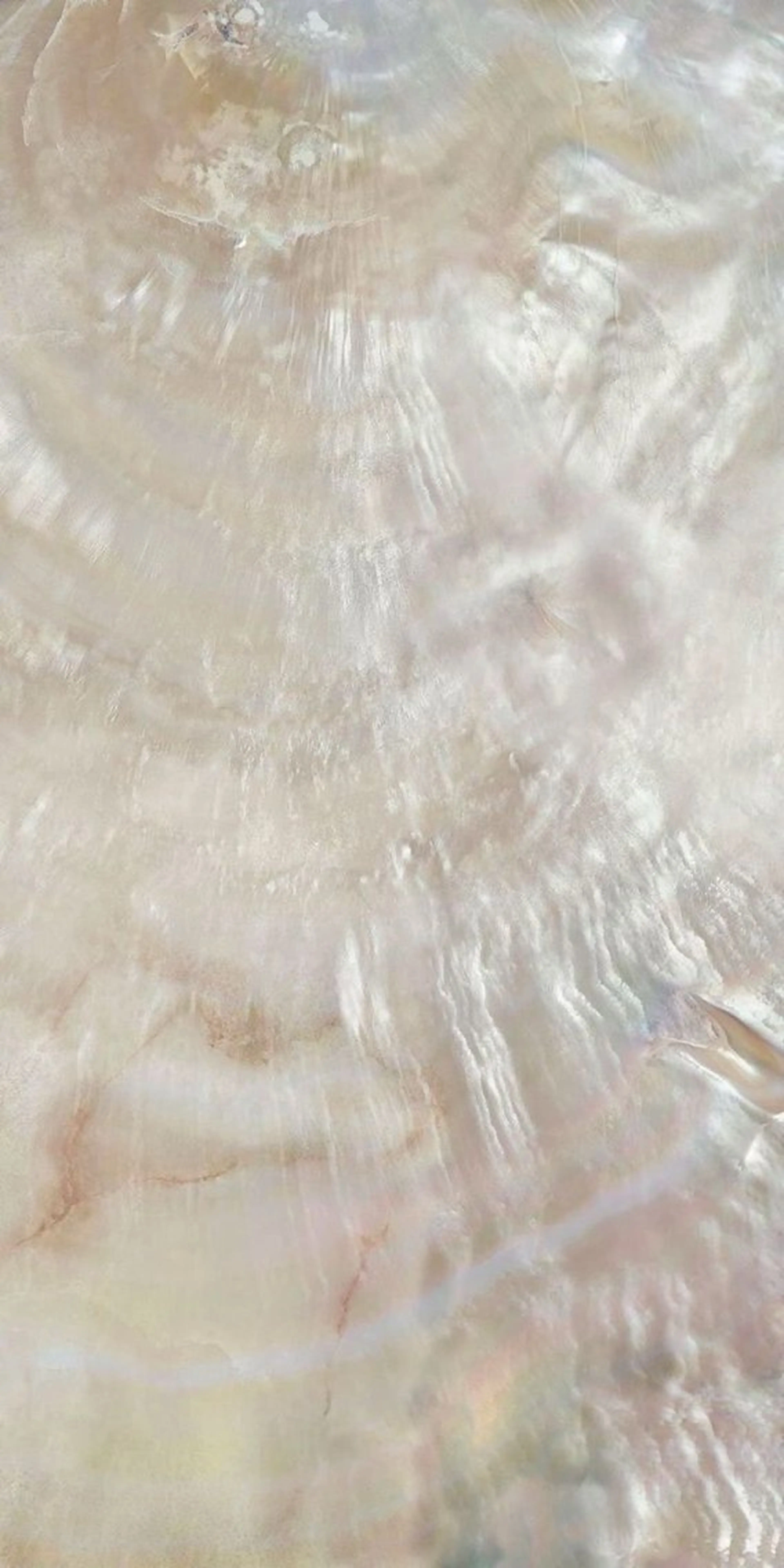 マツエク・マツパ マツパ 横浜eyelist Aidaのマツエク・マツパデザイン