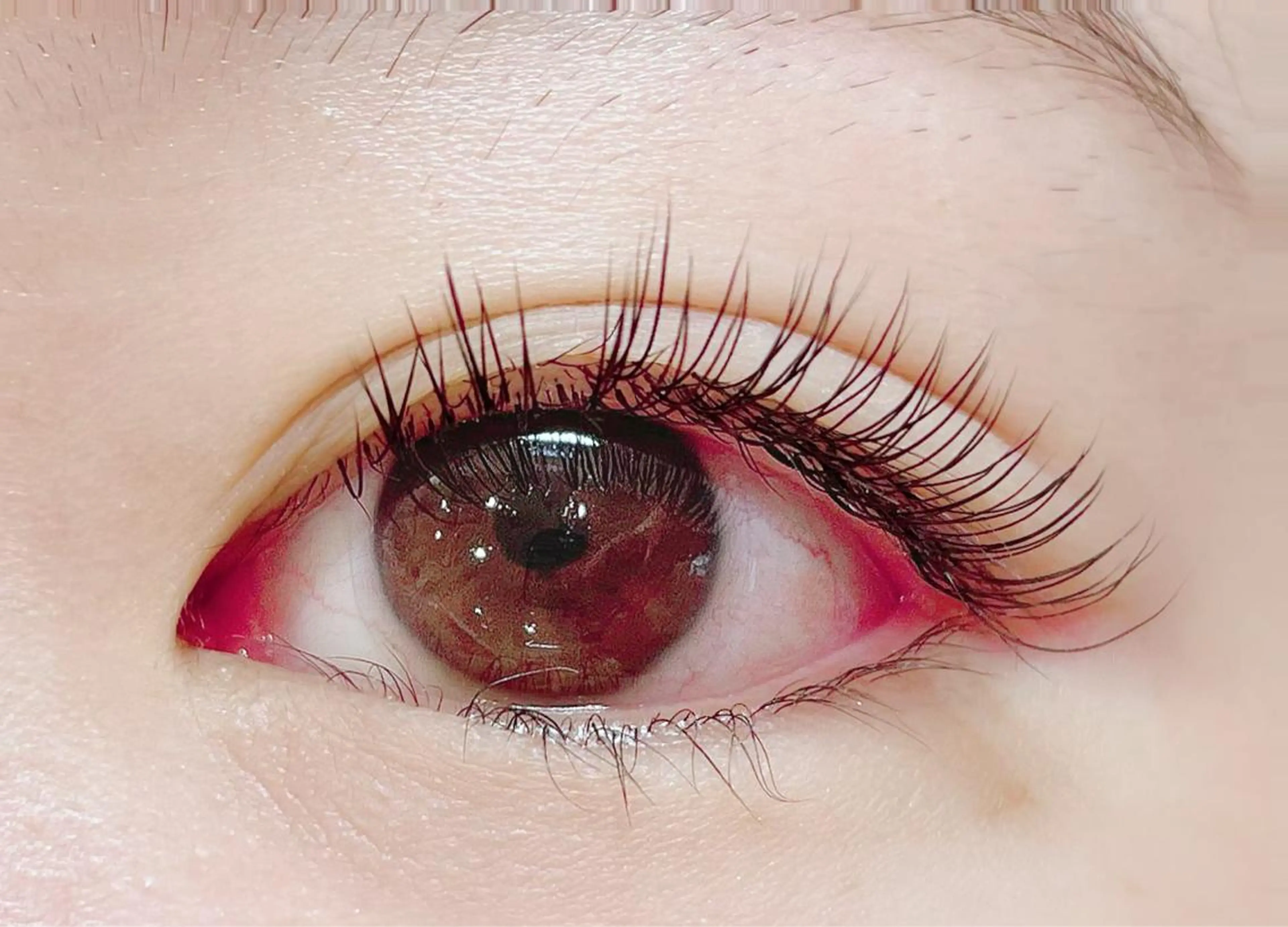 マツエク・マツパ カラーマツエク フラットラッシュ Eyelash  Salon FAXIA大宮店所属・FAXIA Mihoの眉毛・アイブロウイメージ