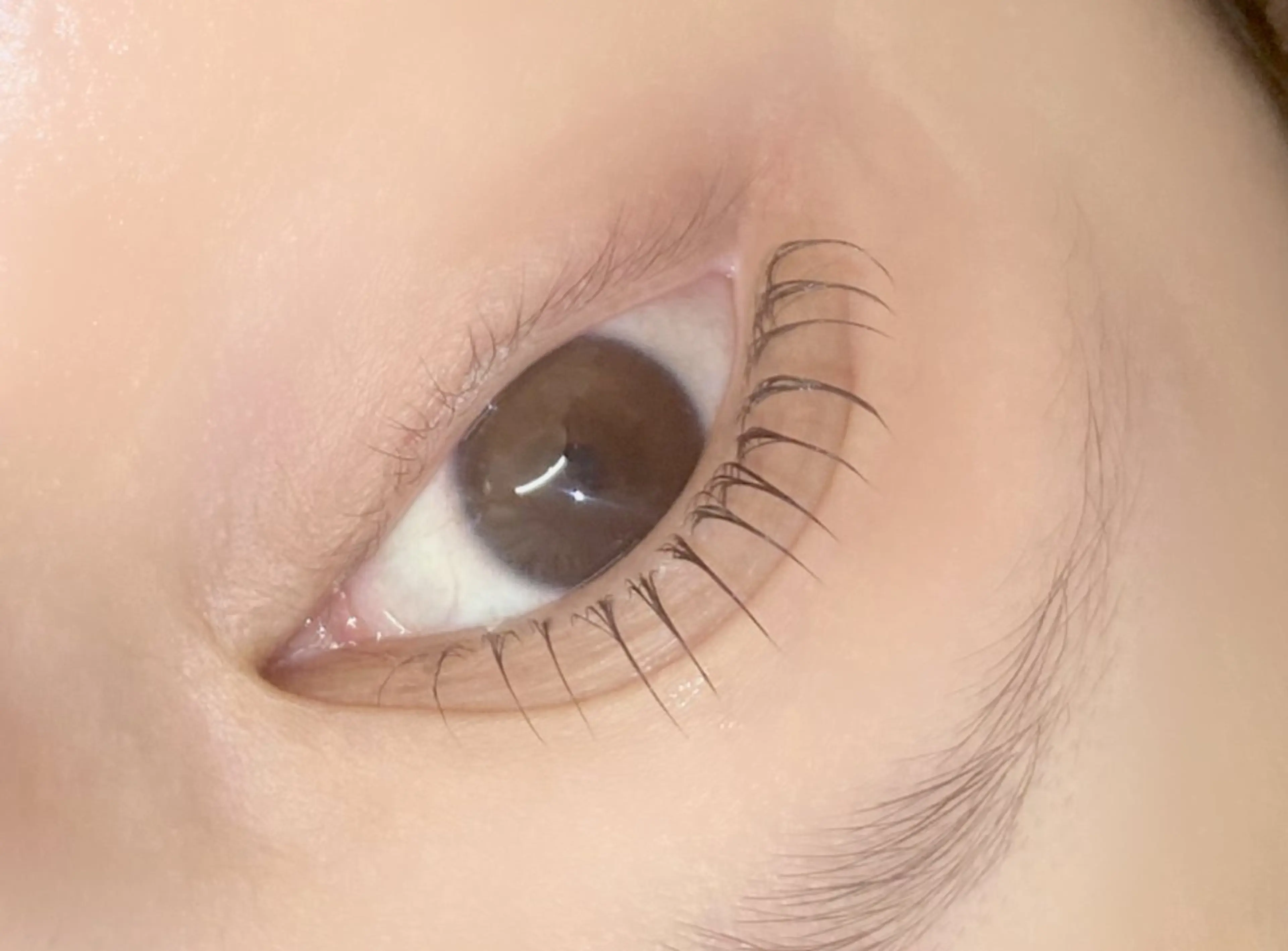 マツエク・マツパ マツパ ルクール見附店 吉田愛来のマツエク・マツパデザイン