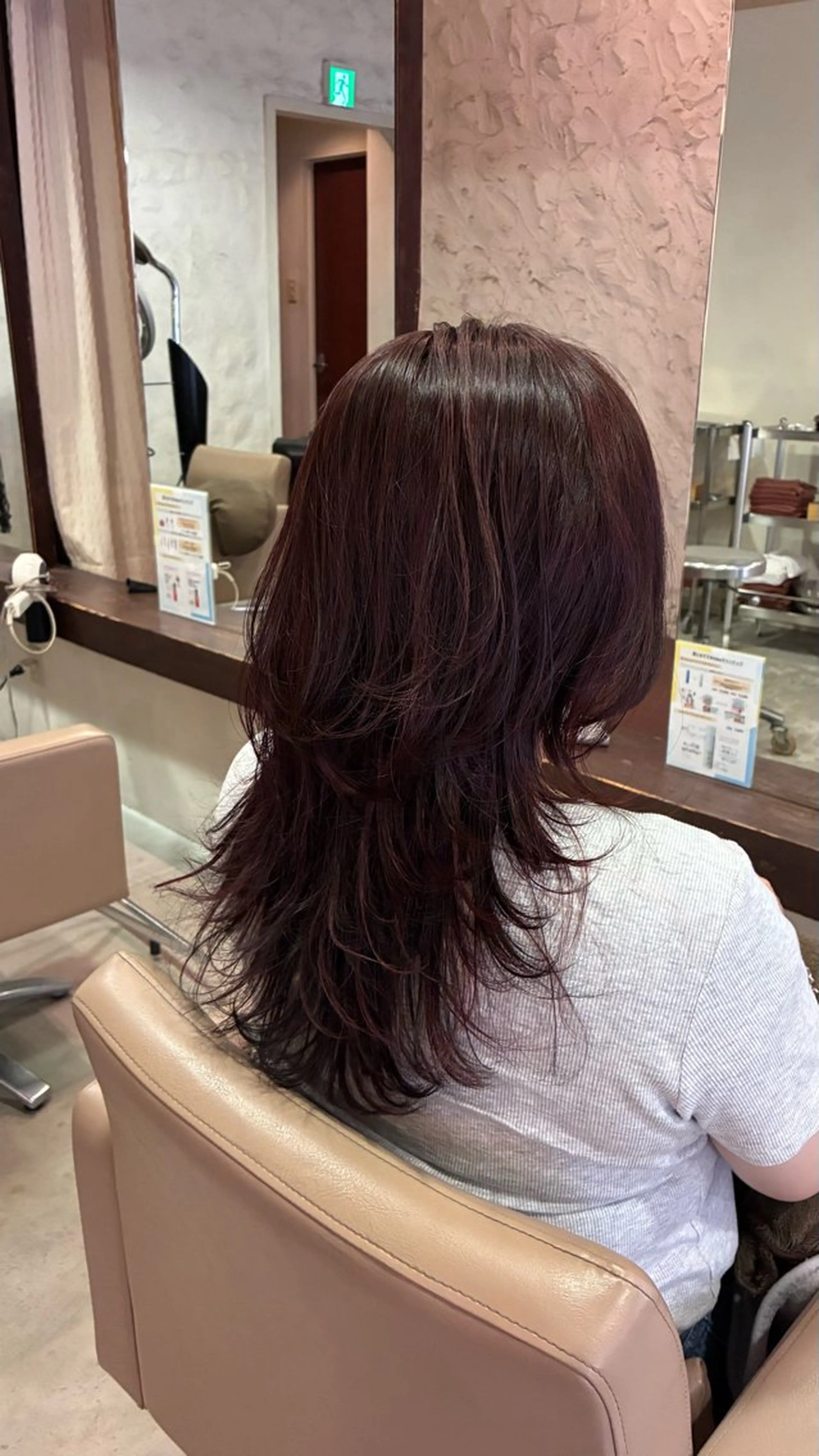 ロング カラー ボルドーカラー ハイライトカラー ハイレイヤー ハイライト レイヤーカット 田中 鈴乃のヘアスタイル