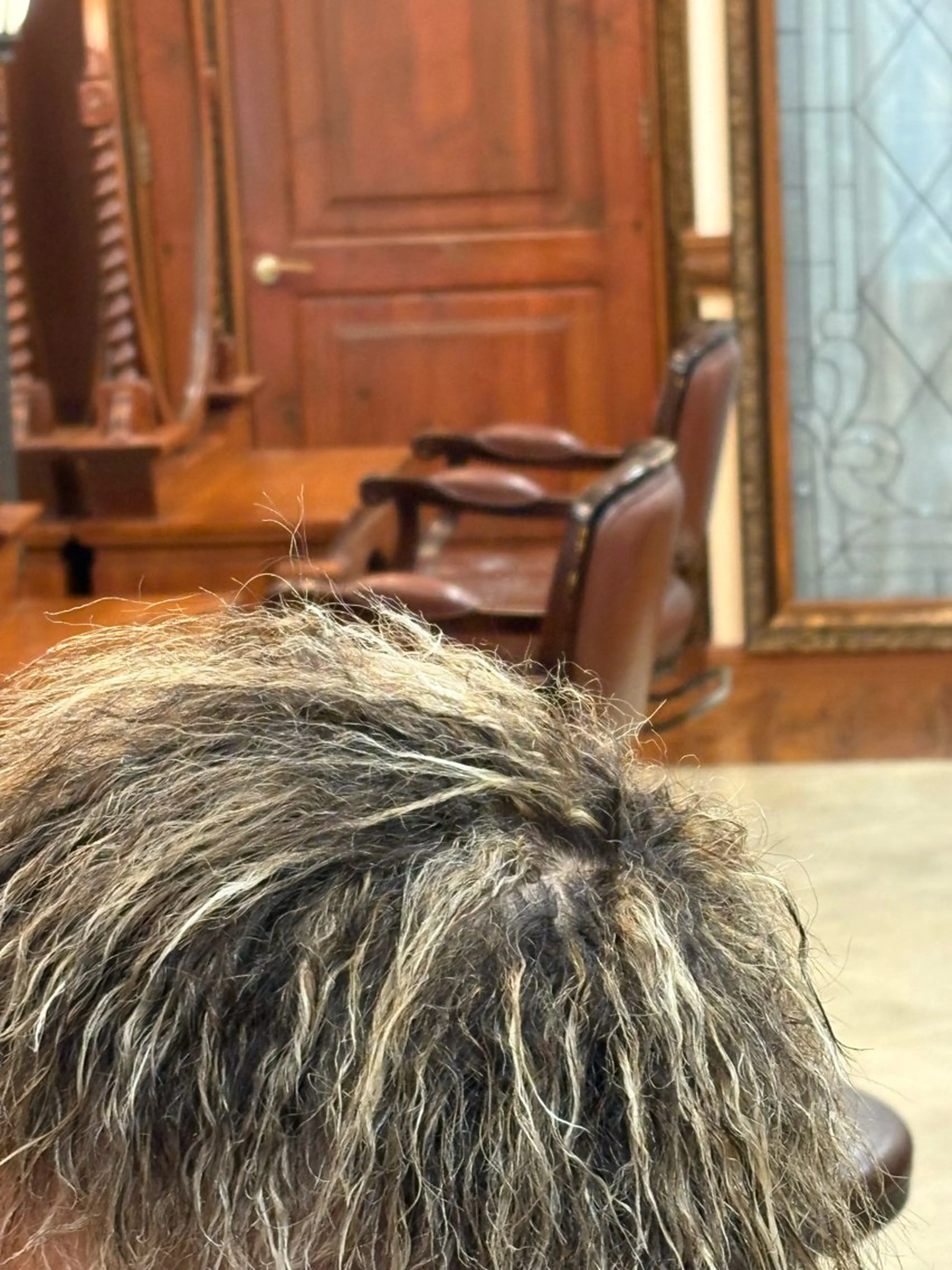 （🔥１２月限定🔥）メンズカット✂️➕ツイスト🥨系パーマの写真