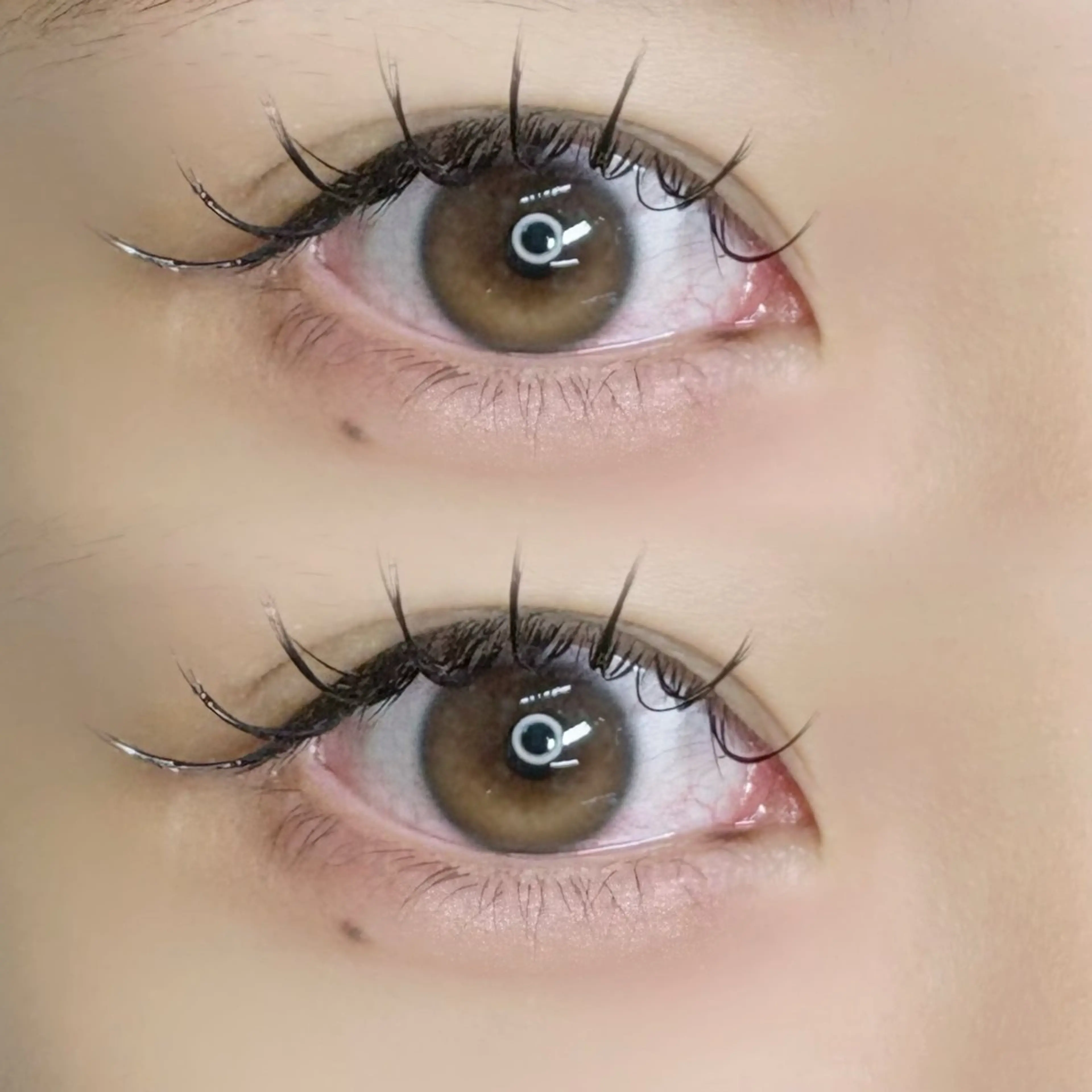 マツエク・マツパ セクシー Bianca 長津田 YUKI🍀.⋆のマツエク・マツパデザイン