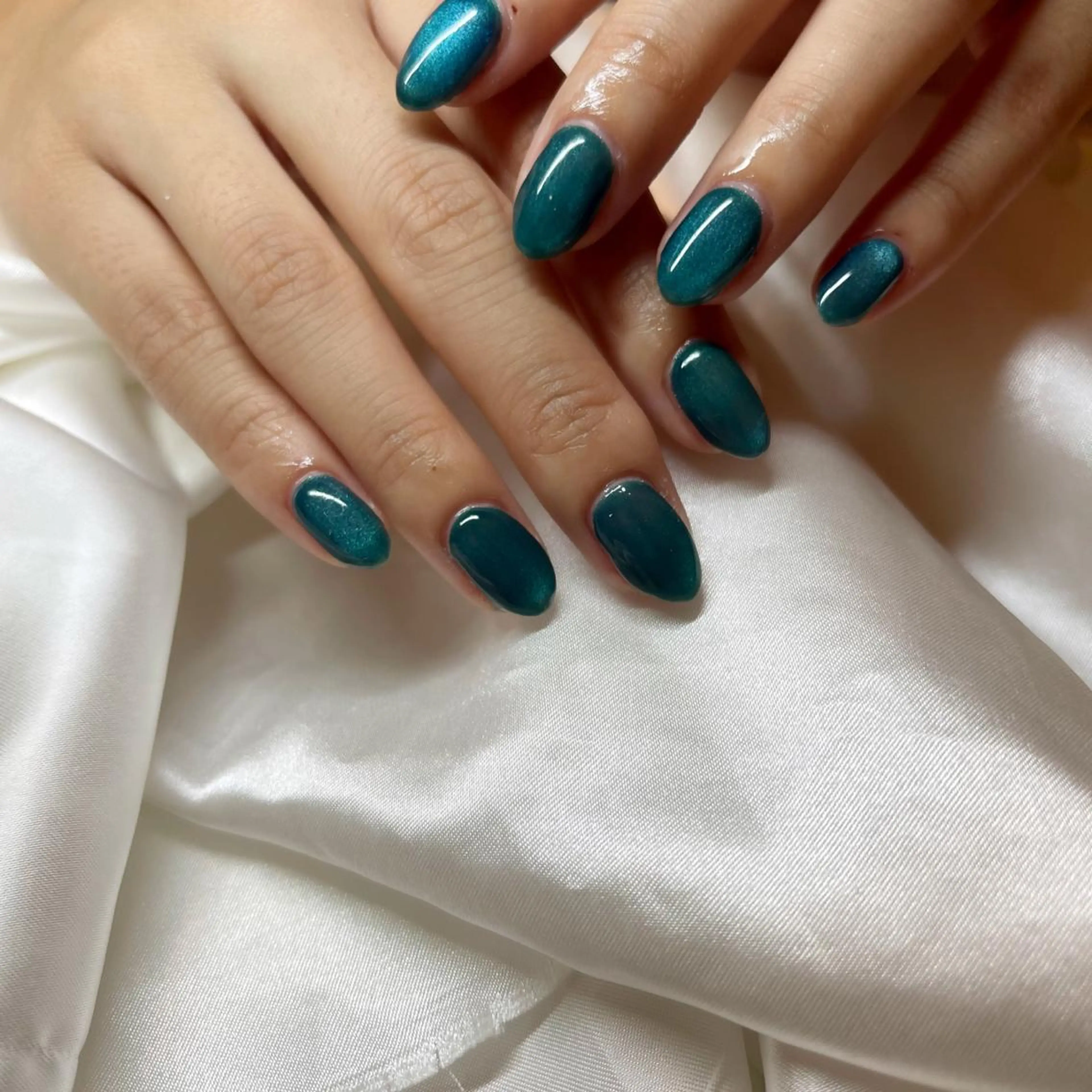 ネイル マグネットネイル BINEL REINAのネイルデザイン