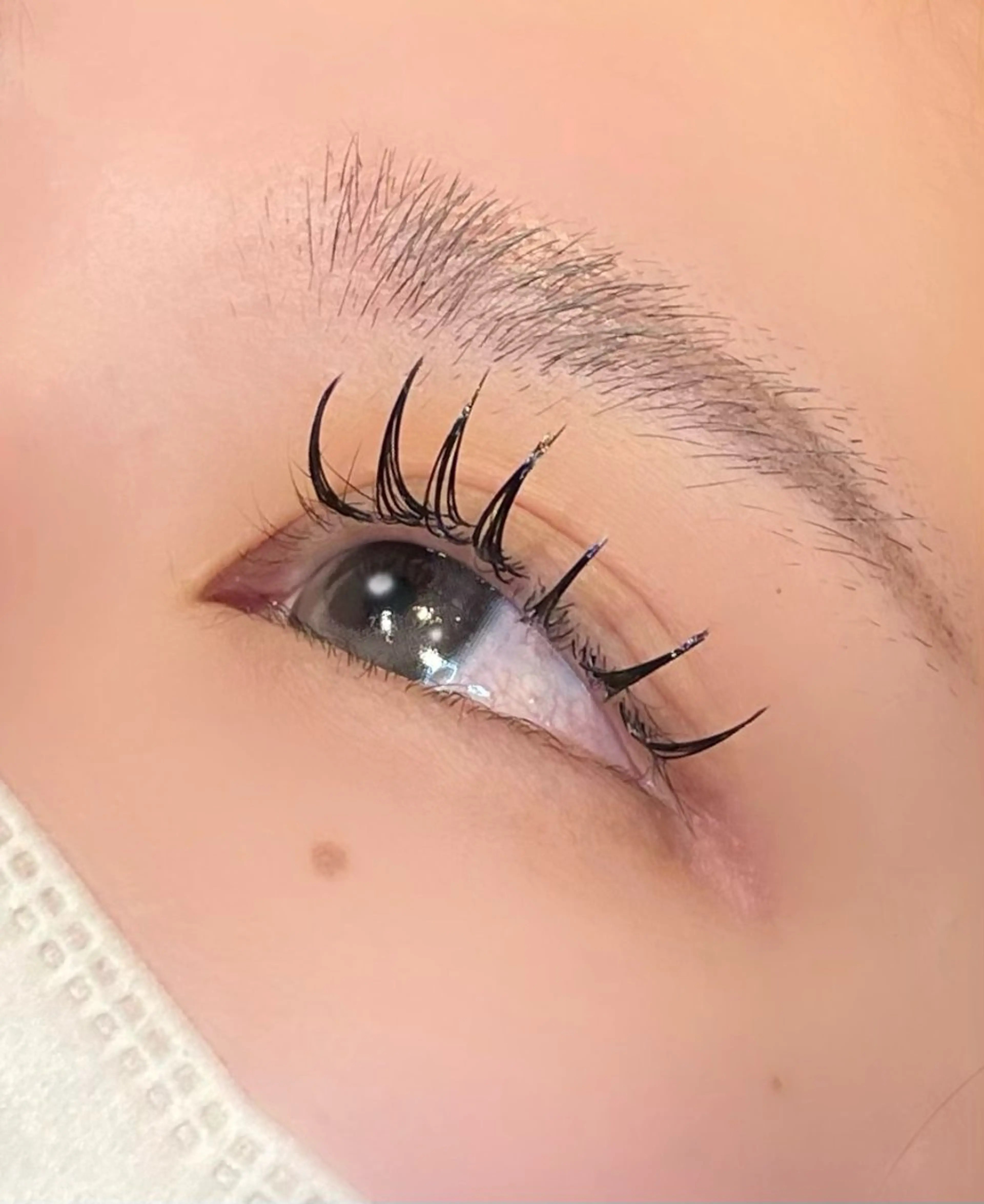 マツエク・マツパ マツエク まつパ/マツエク🤎 艶カラー/ゆり♡⃛のマツエク・マツパデザイン