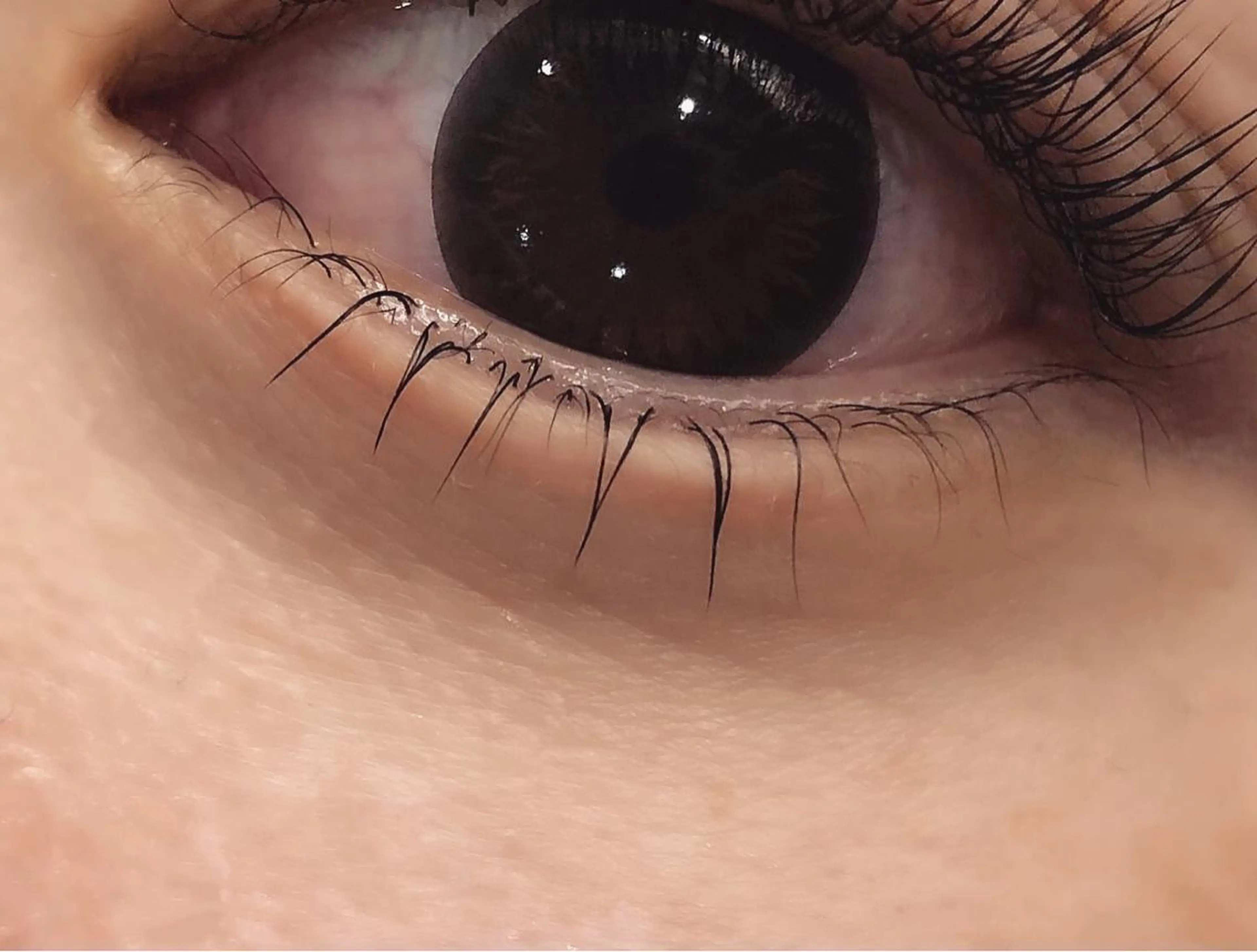 マツエク・マツパ labelta 北千住のマツエク・マツパデザイン