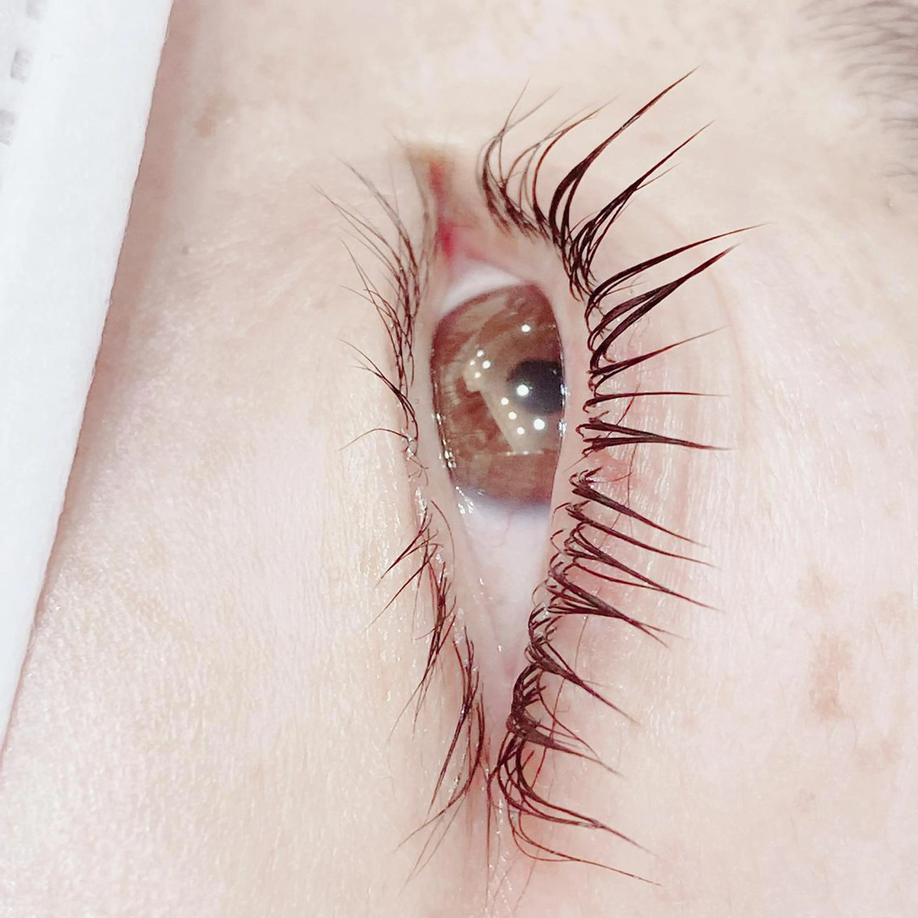 マツエク・マツパ パリジェンヌラッシュリフト 大宮 愛朋の眉毛・アイブロウイメージ