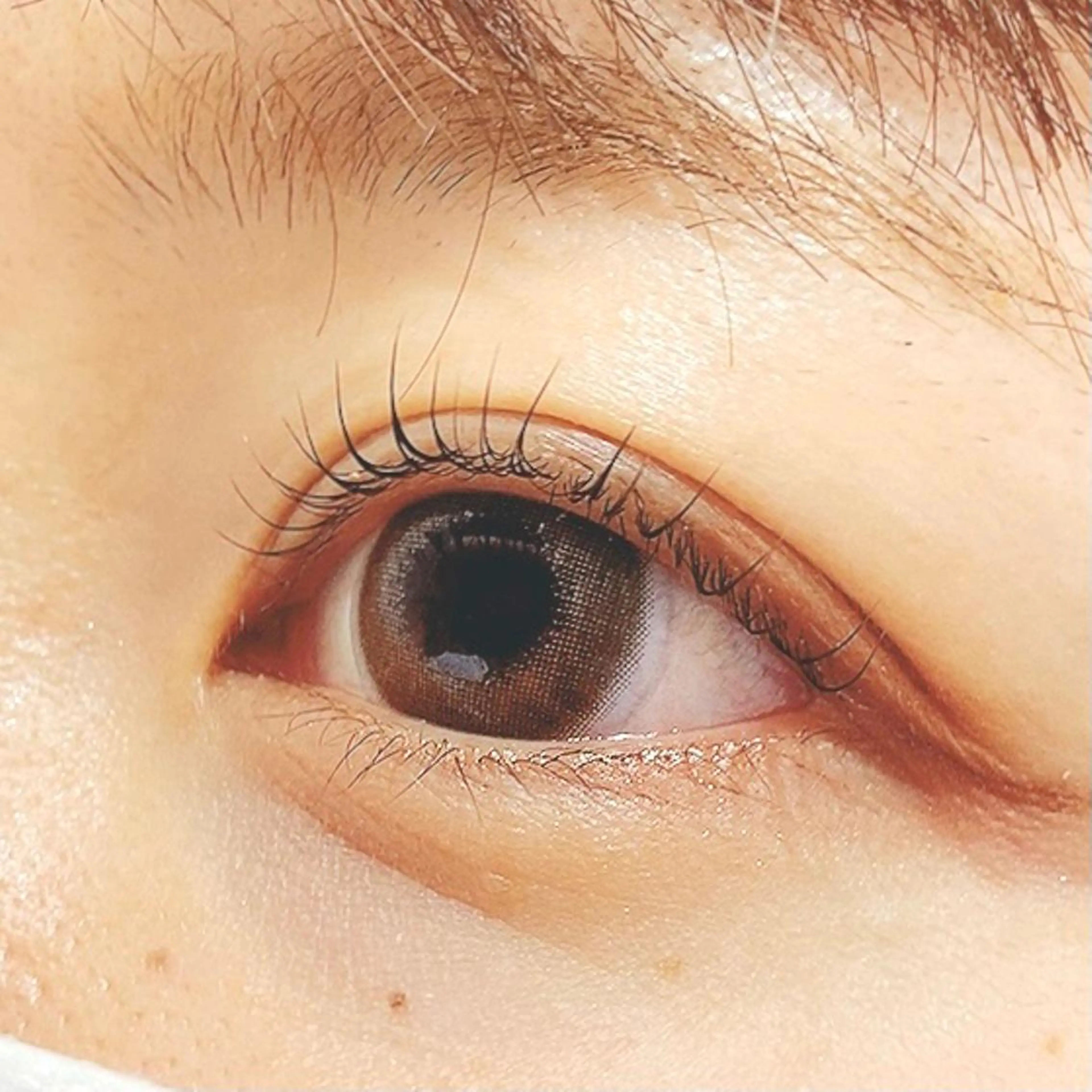 マツエク・マツパ FAHREN-PURE所属・小鹿理紗 和光市のヘアスタイル